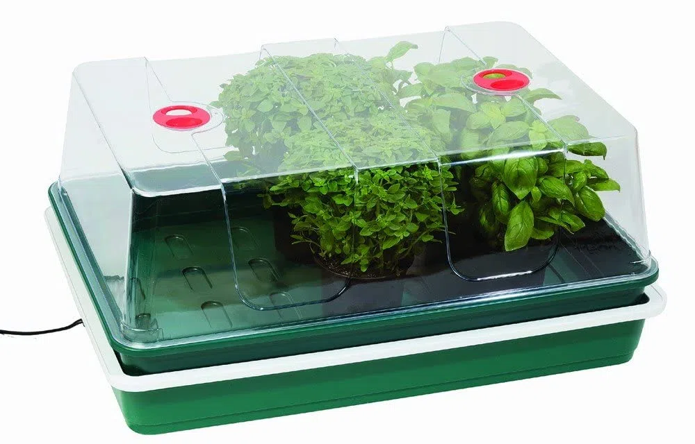 High Dome Electric Propagator - XL - Garland