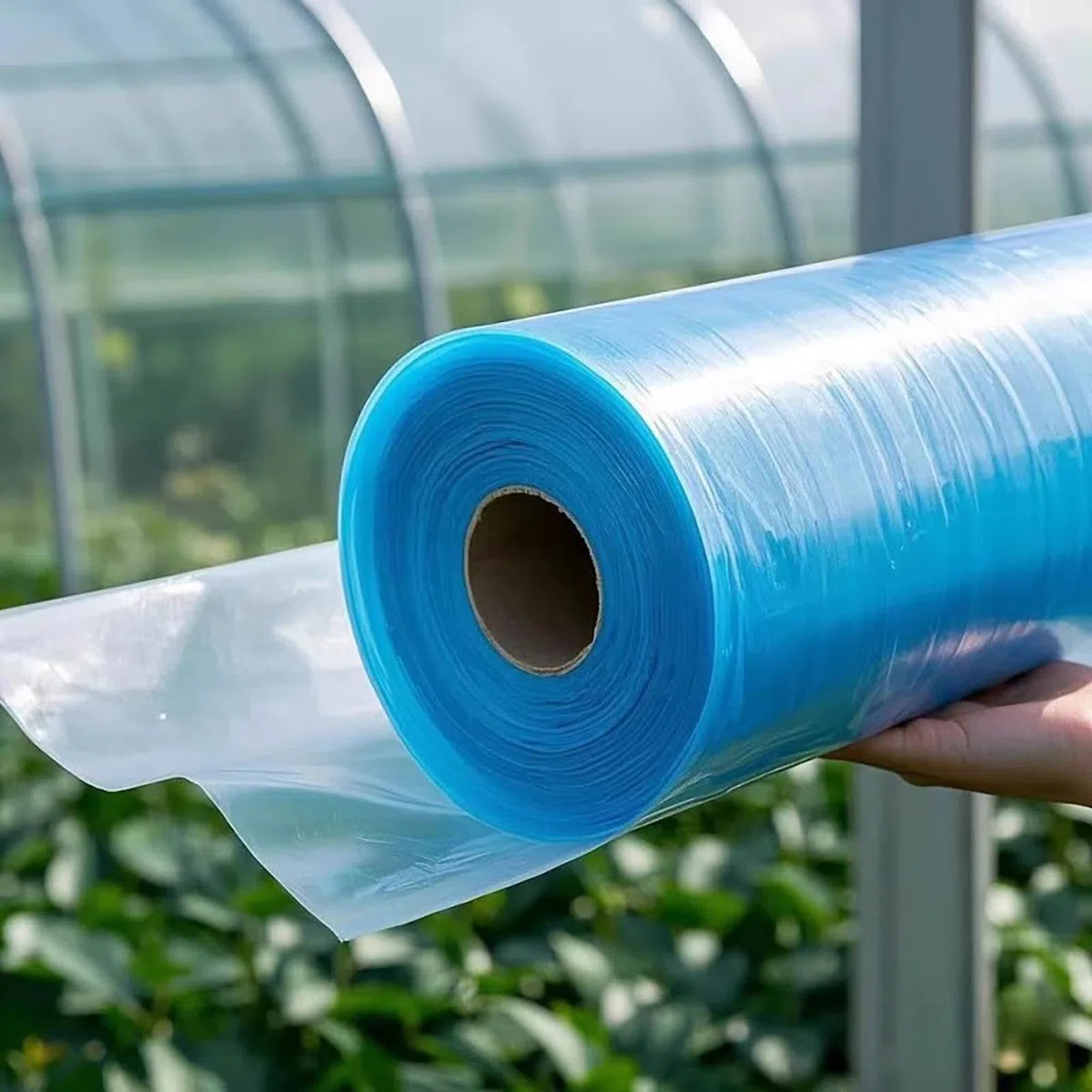 Telo per Serra Ultra Resistente, Garantito 5 Anni - Materiale Polietilene Rinforzato 120 Micron, Impermeabile e Trasparente per Tutto L'Anno(Size:4 * 20m,Color:Blu)
