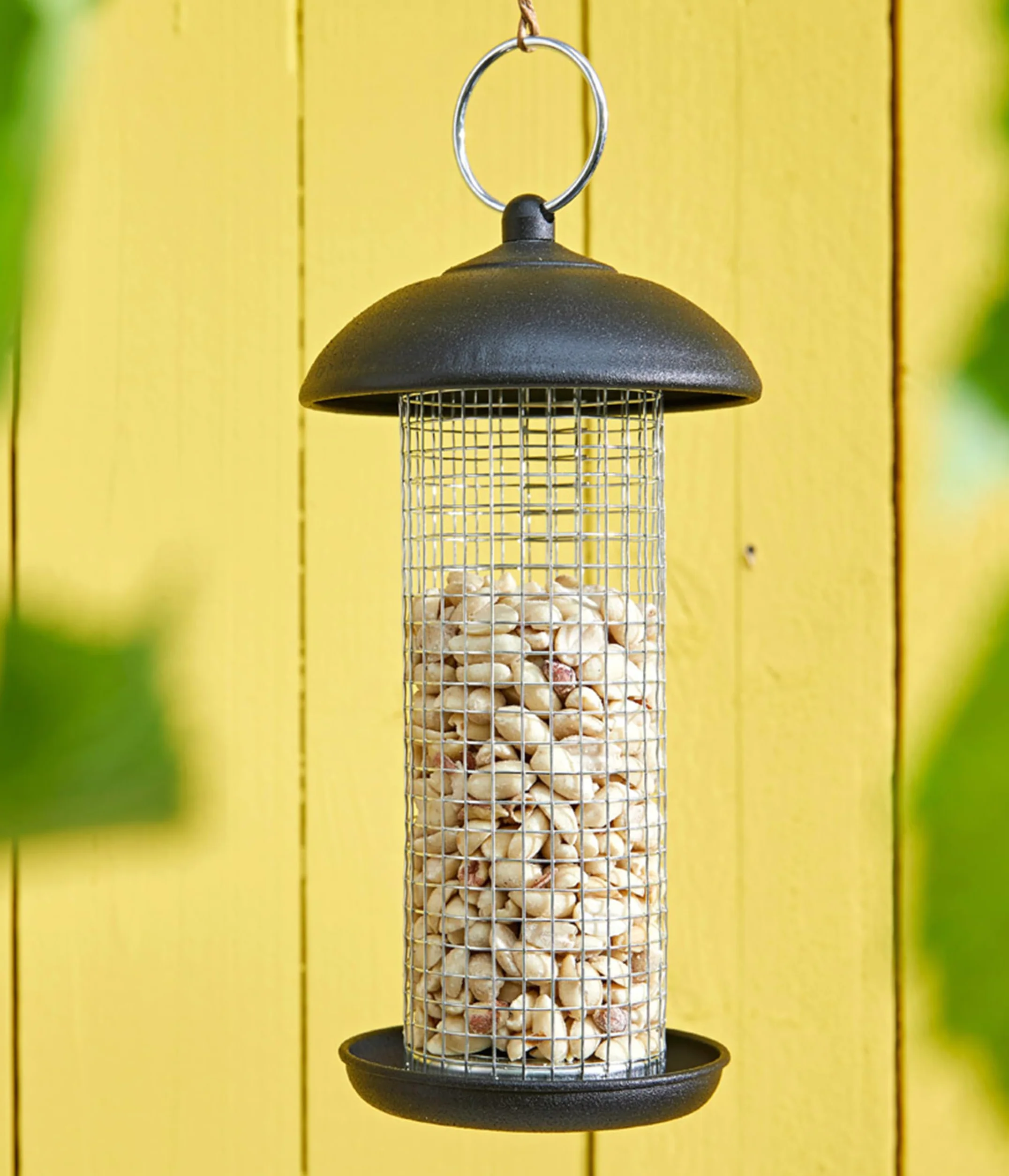 Dehner Natura Premium mangime per Uccelli Selvatici, Arachidi per metà o Intere, 20 kg