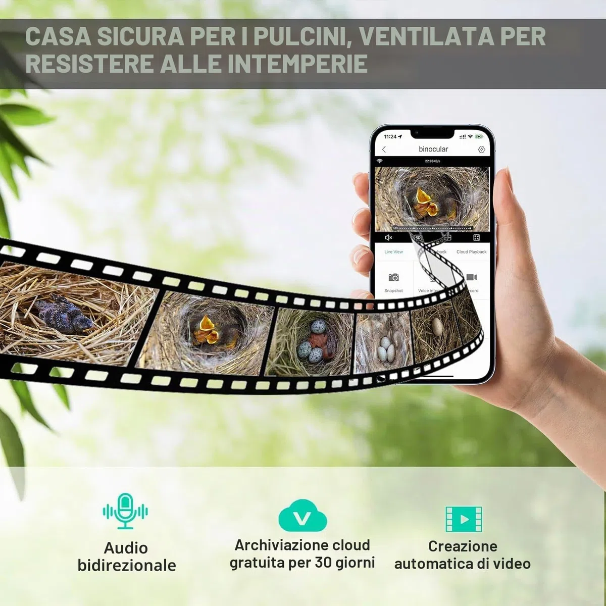 Casetta per uccelli con fotocamera, 5MP HD, per esterni, notifica WiFi 2,4 G e App, osserva la nidificazione e la schiusa, registrazione automatica di video degli uccelli e rilevamento del movimento
