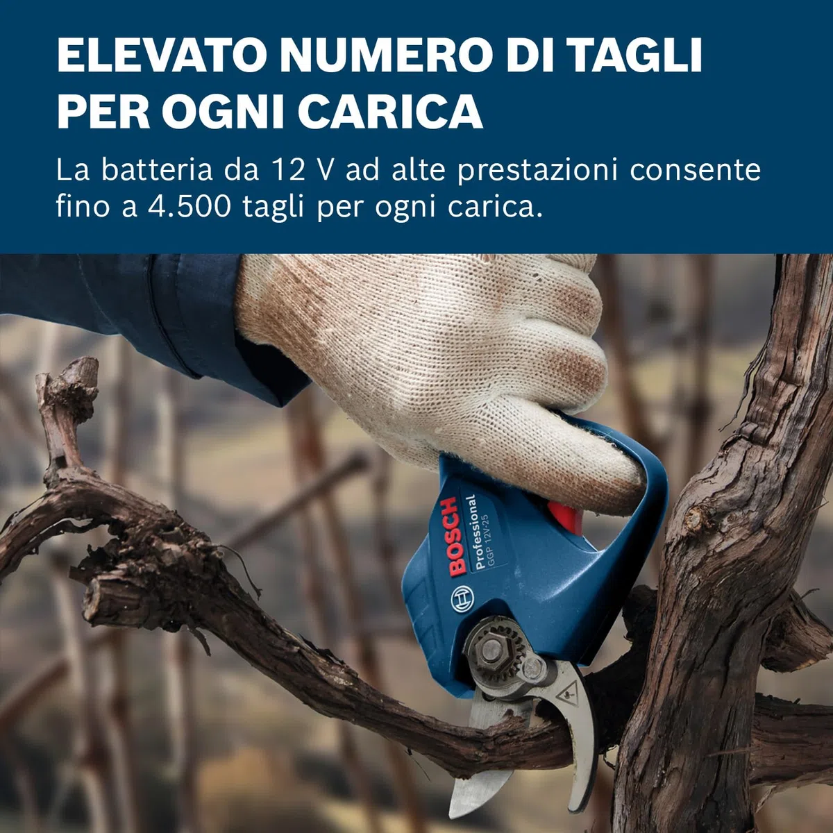 Bosch Professional 12V System GGP 12V-25 Potatore (fino a 4500 tagli per carica, motore brushless, tagli da 25 mm, con 2 batterie da 3.0 Ah)