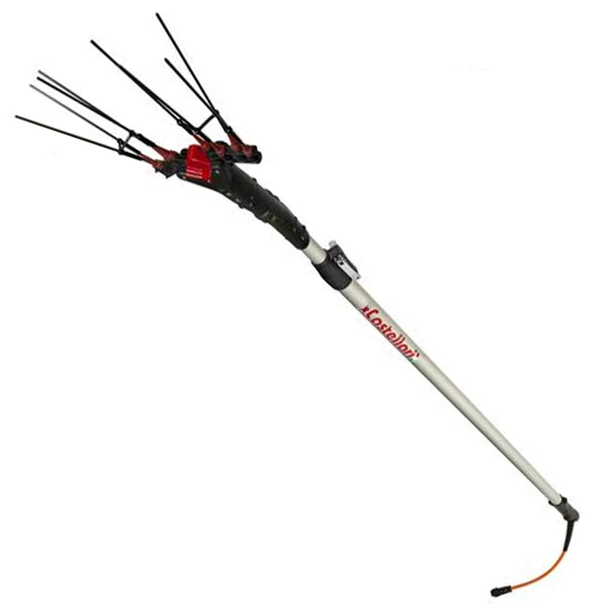 CASTELLARI Vertigo con Asta 240-320 CM SCUOTITORE Elettrico Professionale/ABBACCHIATORE per Olive