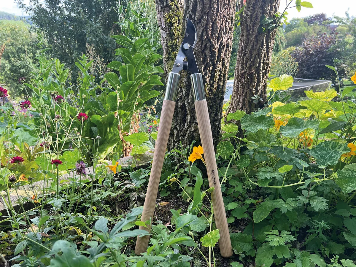 Spear & Jackson 5771KEW Cesoie da giardino Kew Gardens Woodland Collection