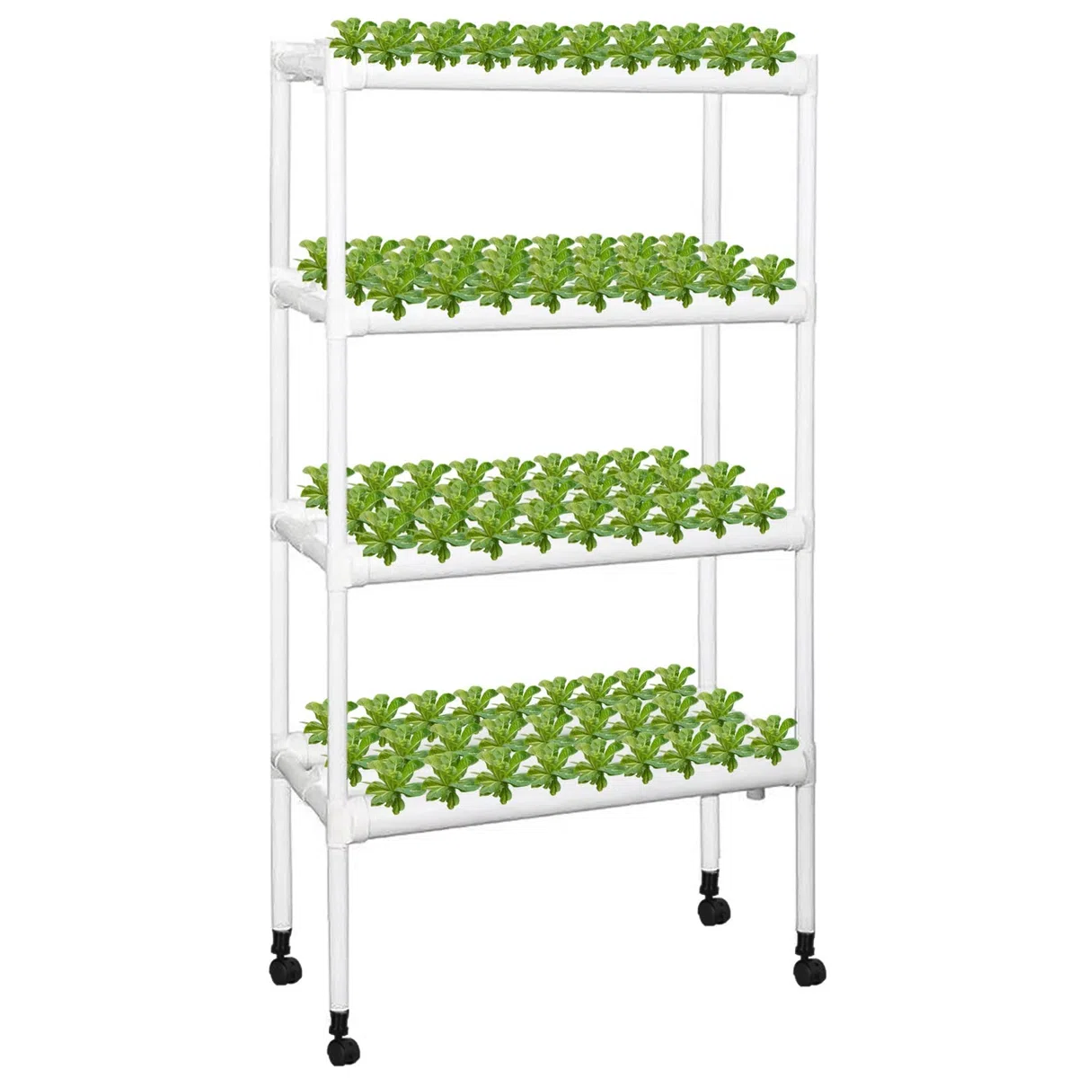 Kalolary Coltivazione Idroponica, Sito Idroponico Grow Kit 108 Siti 12 Tubi Coltivazione Idroponica Sistema di Coltivazione Idroponica Senza Suolo Kit per Il Giardino di Casa