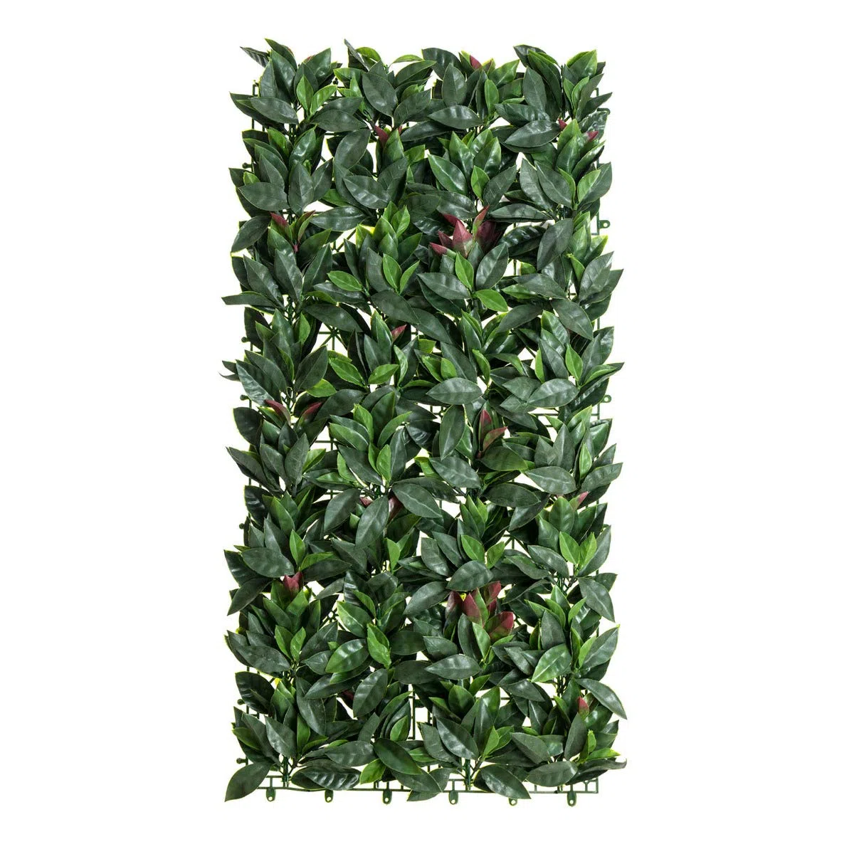 Fotinia Red Robin Siepe Sintetica Sempreverde 50x100cm