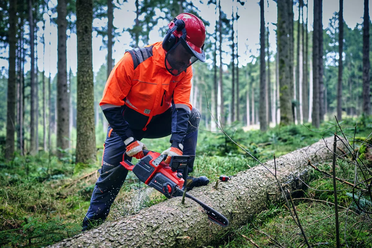 La sega a catena a batteria Einhell Professional GP-LC 36/40 Li BL-Solo (36 V, lunghezza di taglio 38 cm, brushless, velocità della catena 19 m/s, lubrificazione autom. della catena, senza batteria)