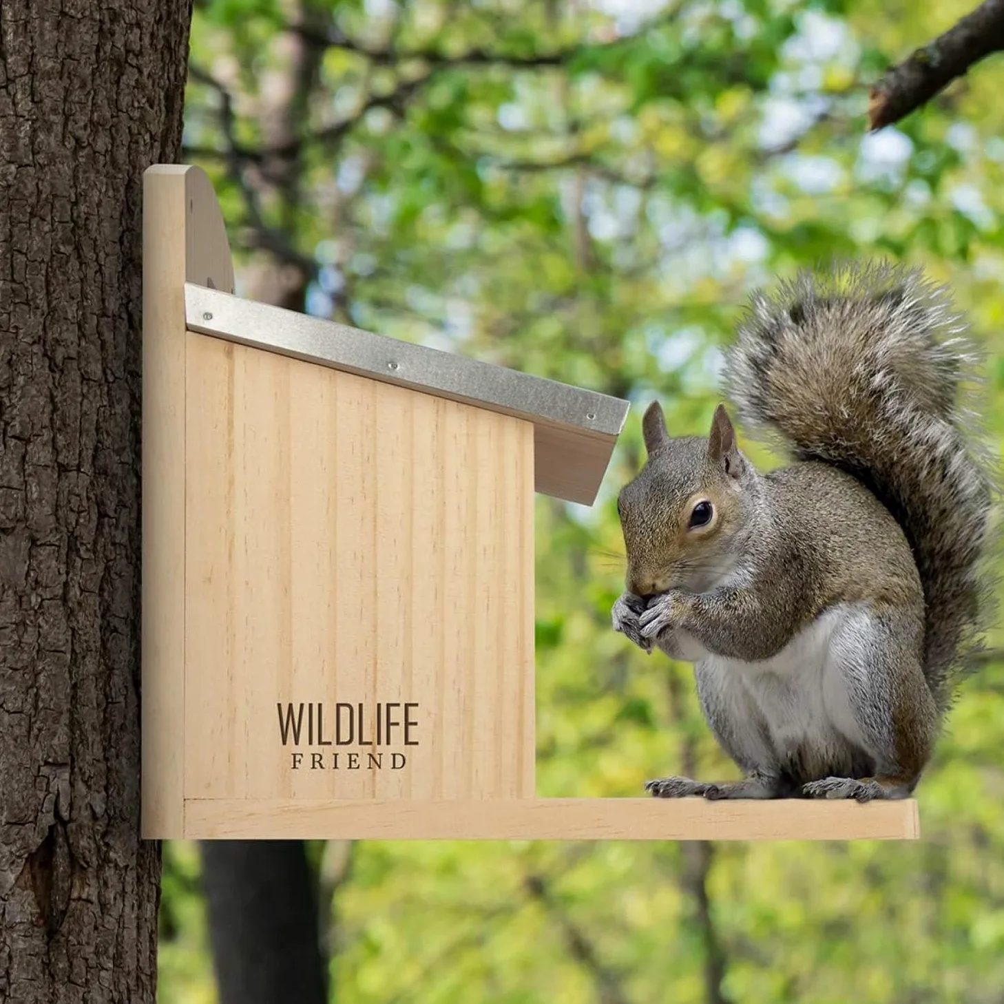 WILDLIFE FRIEND | Mangiatoia Scoiattoli XXL – Da Riempire con Mangime Scoiattolo – Resistente alle Intemperie – Realizzata in Legno Massello, Tetto in Metallo e Finestrina in Plastica – 26x14x29cm