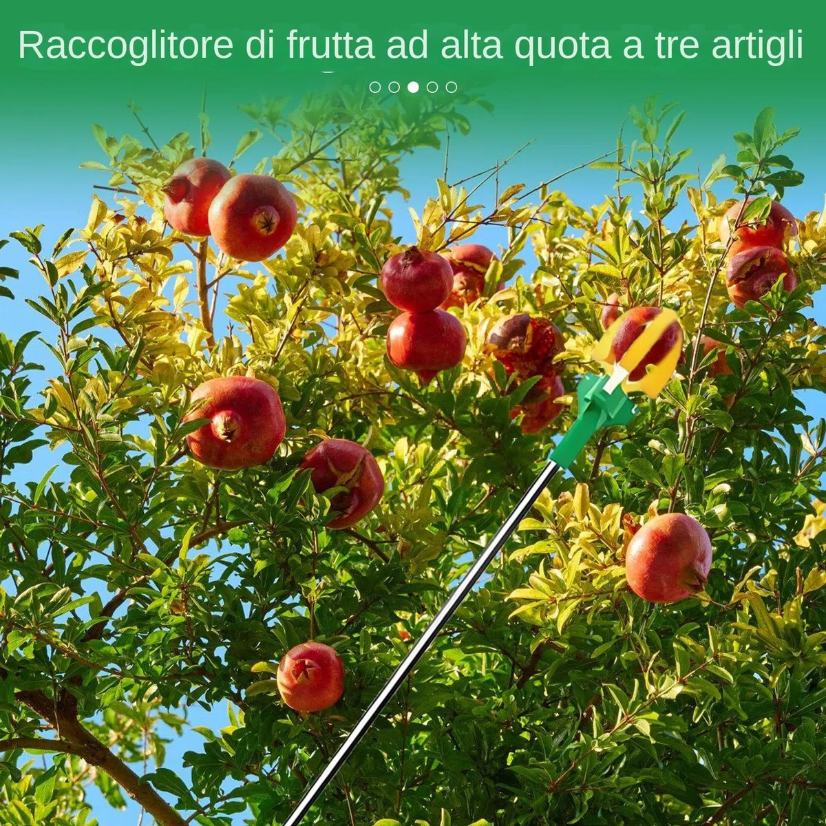Di Frutta - 3 Metri Di Raccoglitori Di Frutta Per Alberi | Cherry Picker | Picker | Pickers Di Ciliegie Per Pere | La Raccolta Del Telescopico Può Essere Tirato Fuori | Abbigliamento Man