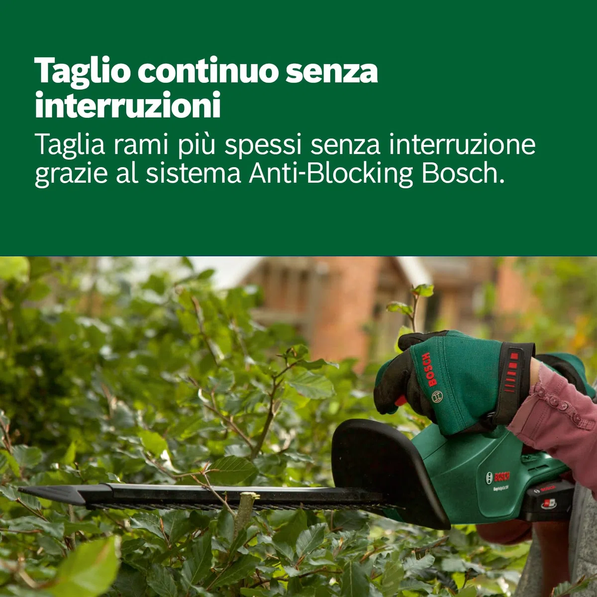 Bosch Home and Garden Tagliasiepi a Batteria EasyHedgeCut 18-45, 1 Batteria da 2.0 Ah, Sistema da 18 Volt, Lama da 45 cm, Confezione in Cartone