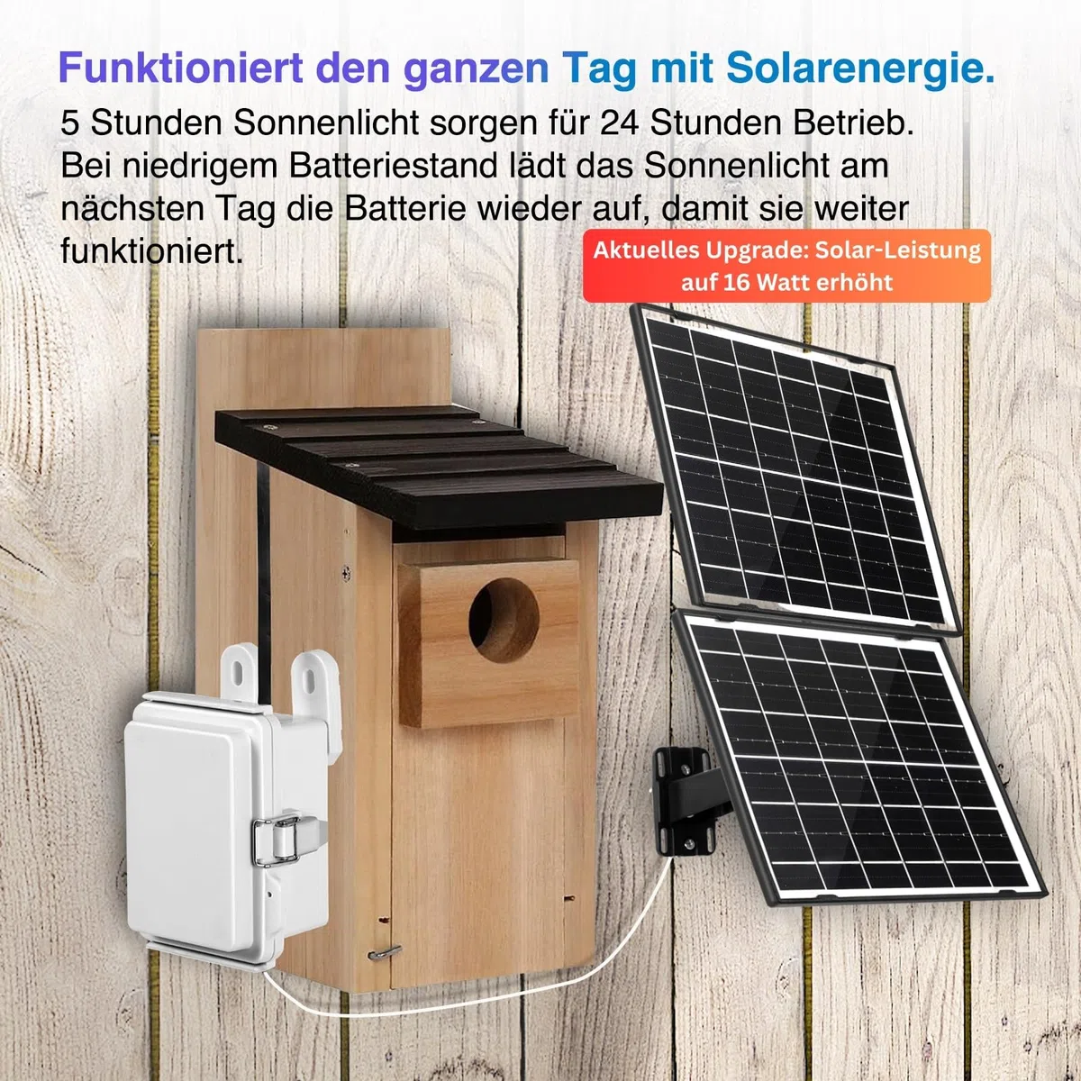 WIWACAM Telecamera solare Wi-Fi per nidificatori BirdBox
