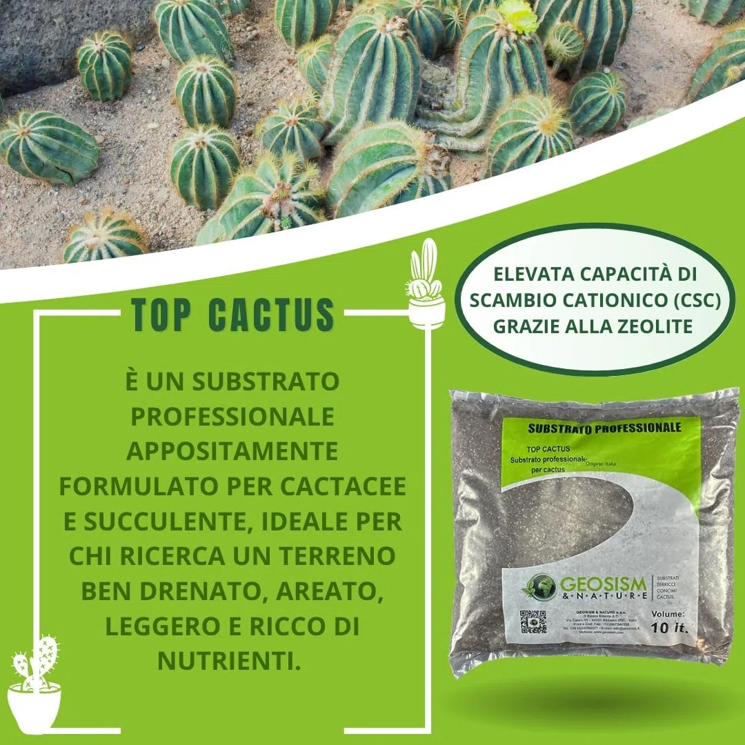 GEOSISM & NATURE - Terriccio per piante grasse, terriccio cactus, substrato professionale per cactacee e succulente, ideale per un terreno dreanto, areato, leggero e ricco di nutrienti (10 lt)