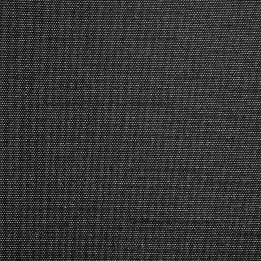 PURADAY Tendone Parasole in Tela Antracite 300x250 cm Tessuto Di Ricambio Per Tenda Da Sole Telo Parasole Per Tende Da Sole Tessuto Alternativo Di Alta Qualità (Telaio non Incluso)