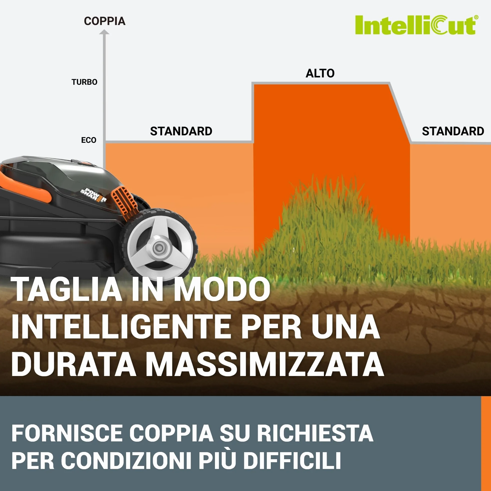 WORX WG779E Tosaerba a Batteria 40V Rasaerba Elettrico da Giardino, Diametro Taglio 34 cm, 2 Batteria da 2,5Ah