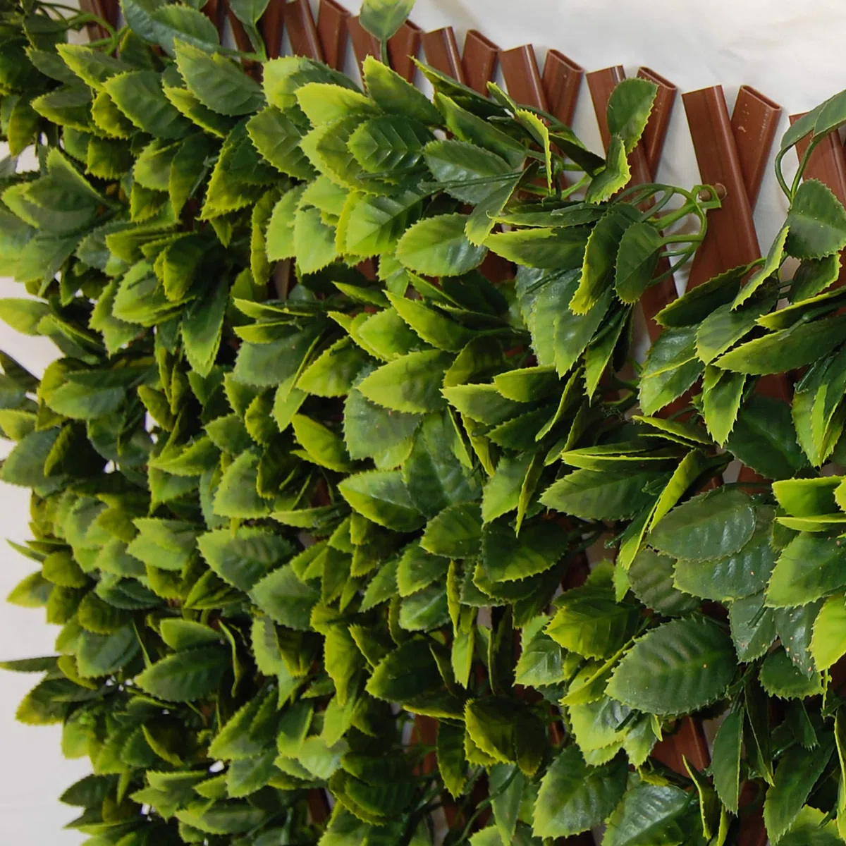 TENAX Siepe Artificiale con Foglie 3d su Traliccio Estensibile in PVC, Divy 3D Trellis, 1x2 m