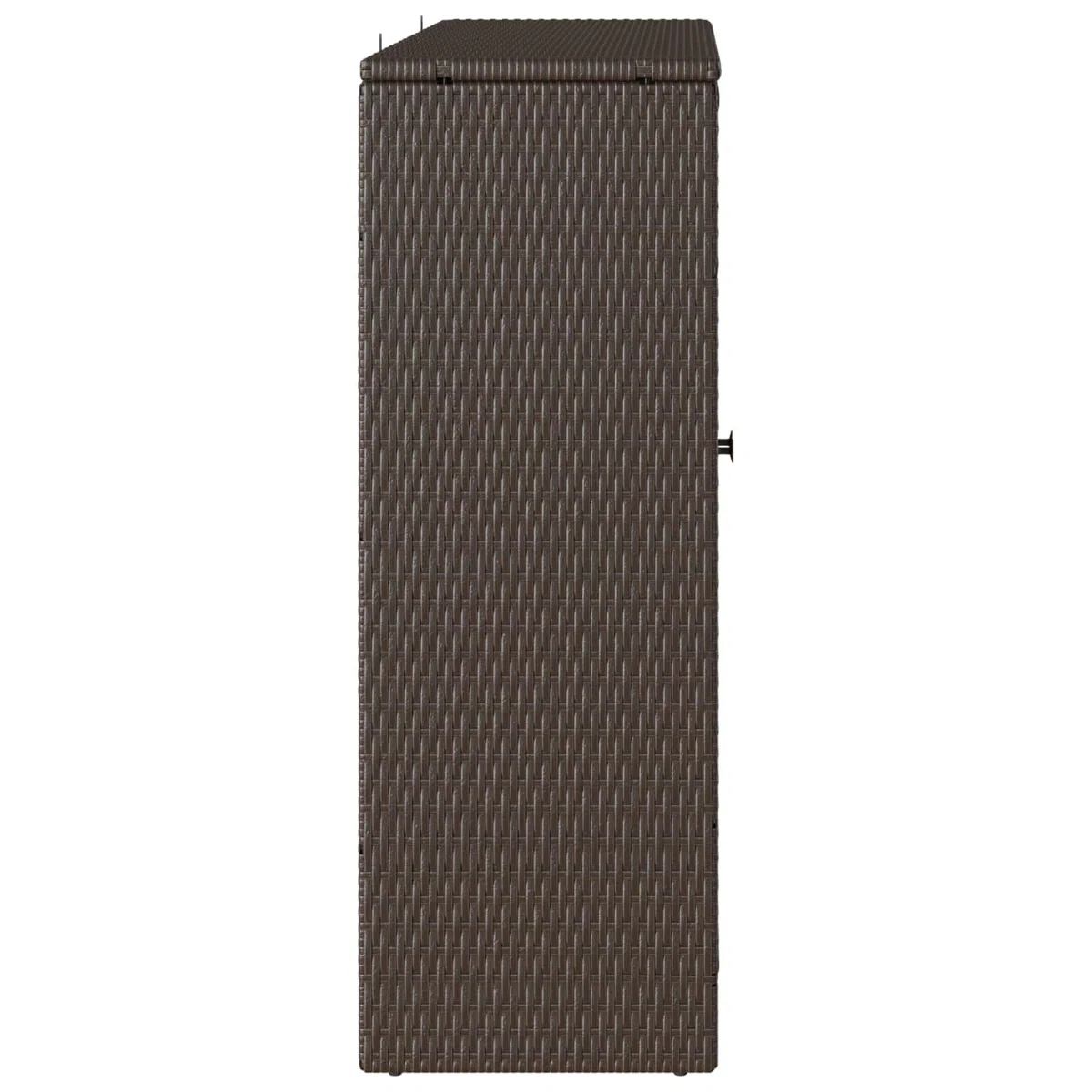 vidaXL Armadio con Lo scaffale Marrone 100 x 36 x 102 cm Rattan, Mobile Elegante per Il Soggiorno, Armadio in Rattan Funzionale, Organizer Moderno per Interni