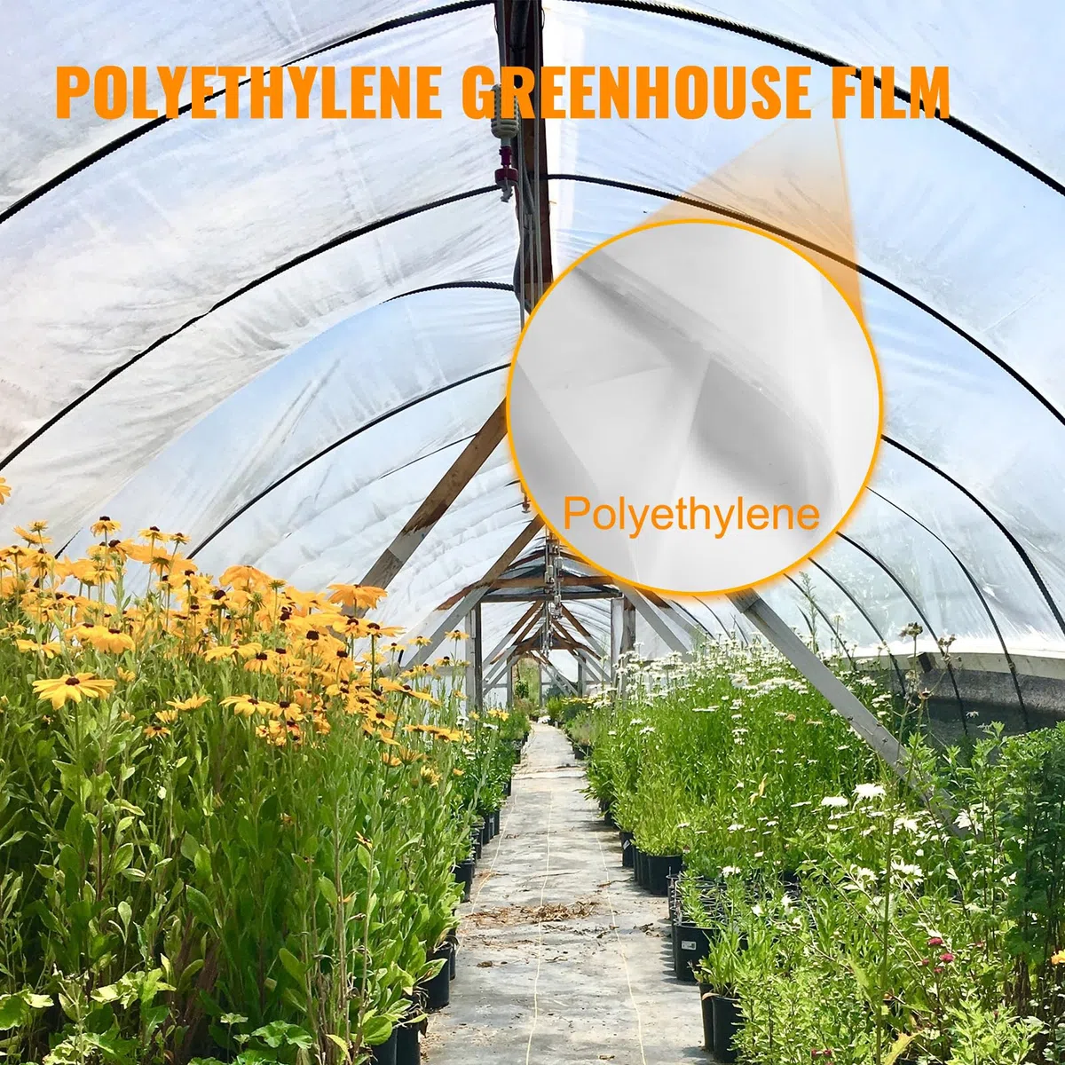 VEVOR Pellicola per serra in polietilene, 7,3 m di lunghezza x 15,2 m di larghezza, trasparente, tunnel di spessore 0,15 mm, pellicole da giardino in polietilene antistrappo come pellicole di plastica