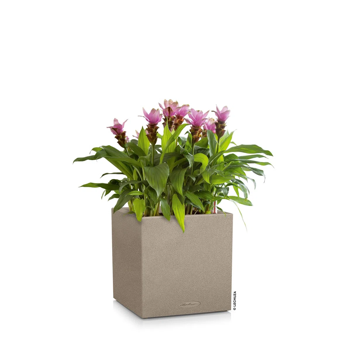 LECHUZA CANTO Stone 40 low beige sabbiato 13721