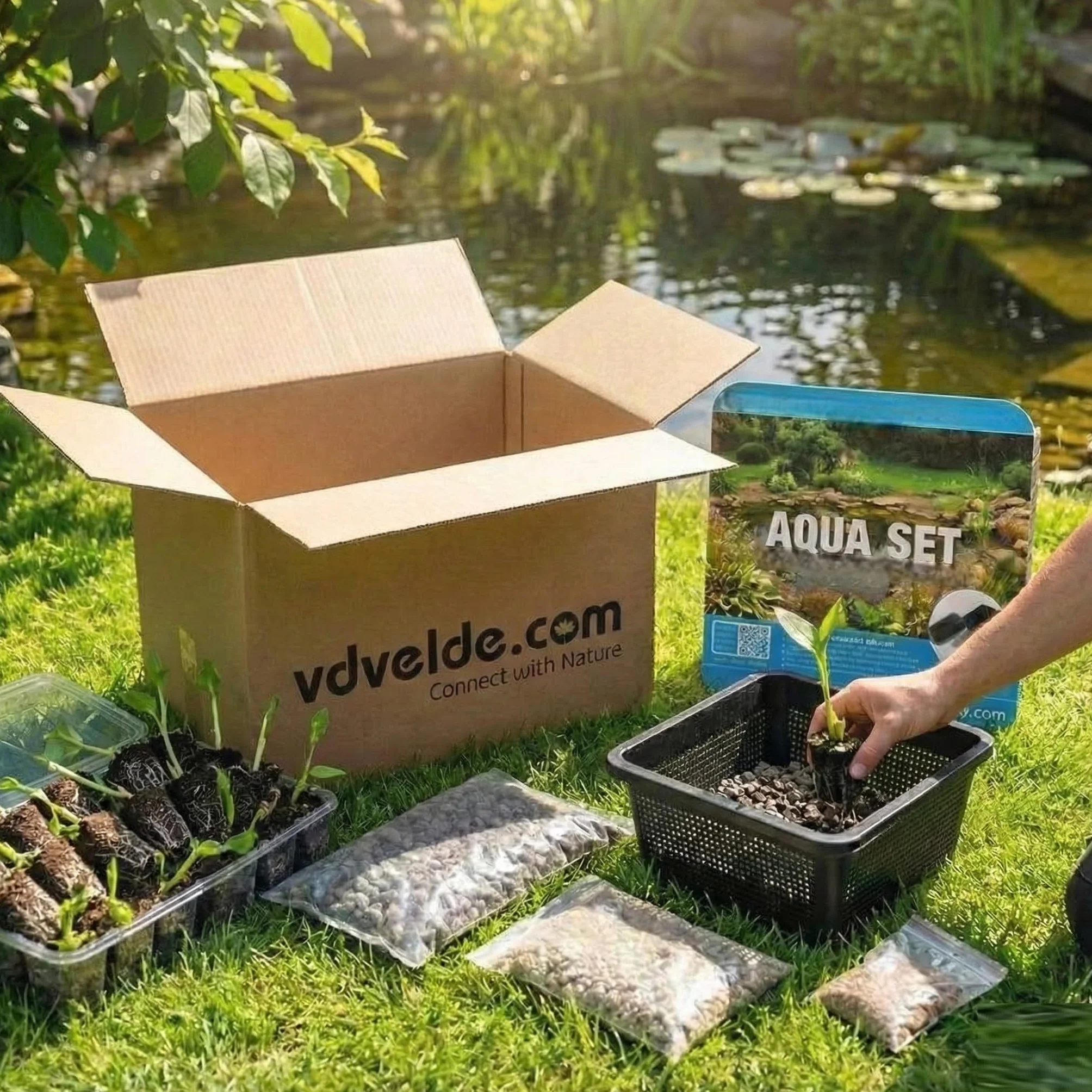 vdvelde - Set Ninfee Nane Rosse - 9 Piante con Nymphaea Pygmaea Rubra, Iris & Butomo - Set Completo con Cestello, Substrato & Fertilizzante - Per Laghetto 10-40 cm di Profondità