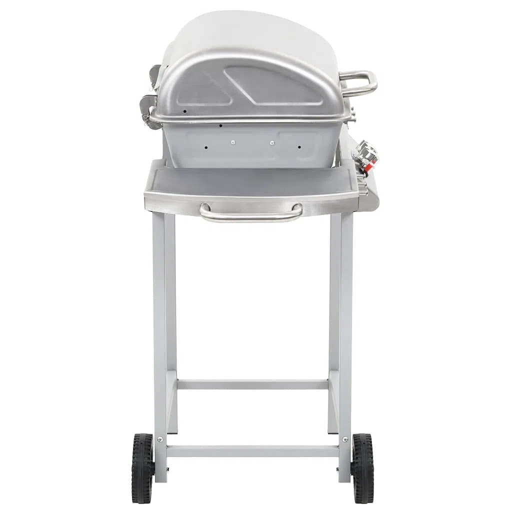 Homgoday Barbecue a gas con 2 zone di cottura, in acciaio inox, colore argento
