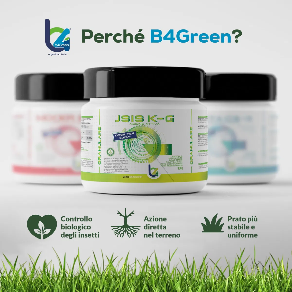B4Green JSIS K-G Granulare 400g per 200m² – Bacillus Thuringiensis Kurstaki Israelensis Larvicida Biologico per Prato, Larve di Lepidotteri e Bruchi, Ammendante per Agricoltura Biologica
