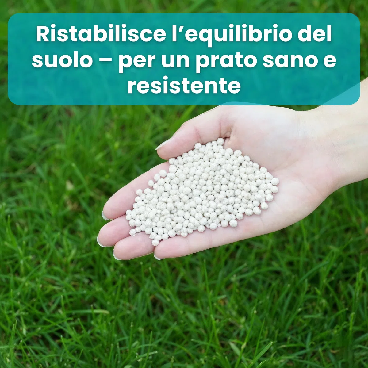 LERAVA Revive (18 kg) - Calce per prato per equilibrio pH ottimale - ammendante per migliorare struttura e fertilità del suolo - apporto naturale di calcio per un prato sano e resistente