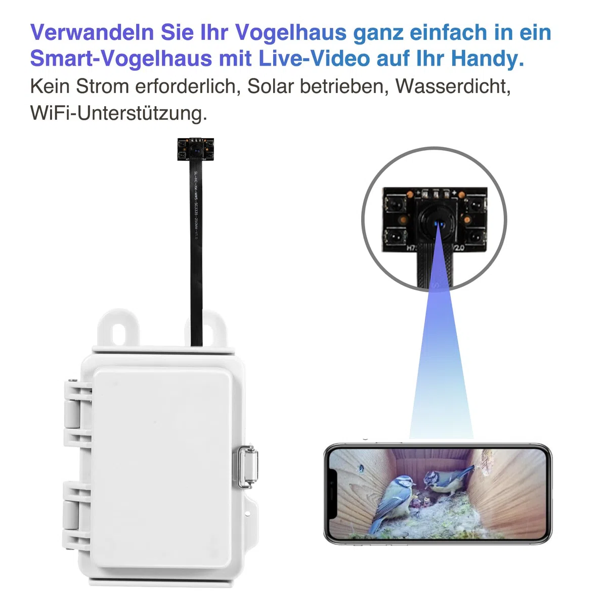 WIWACAM Telecamera solare Wi-Fi per nidificatori BirdBox