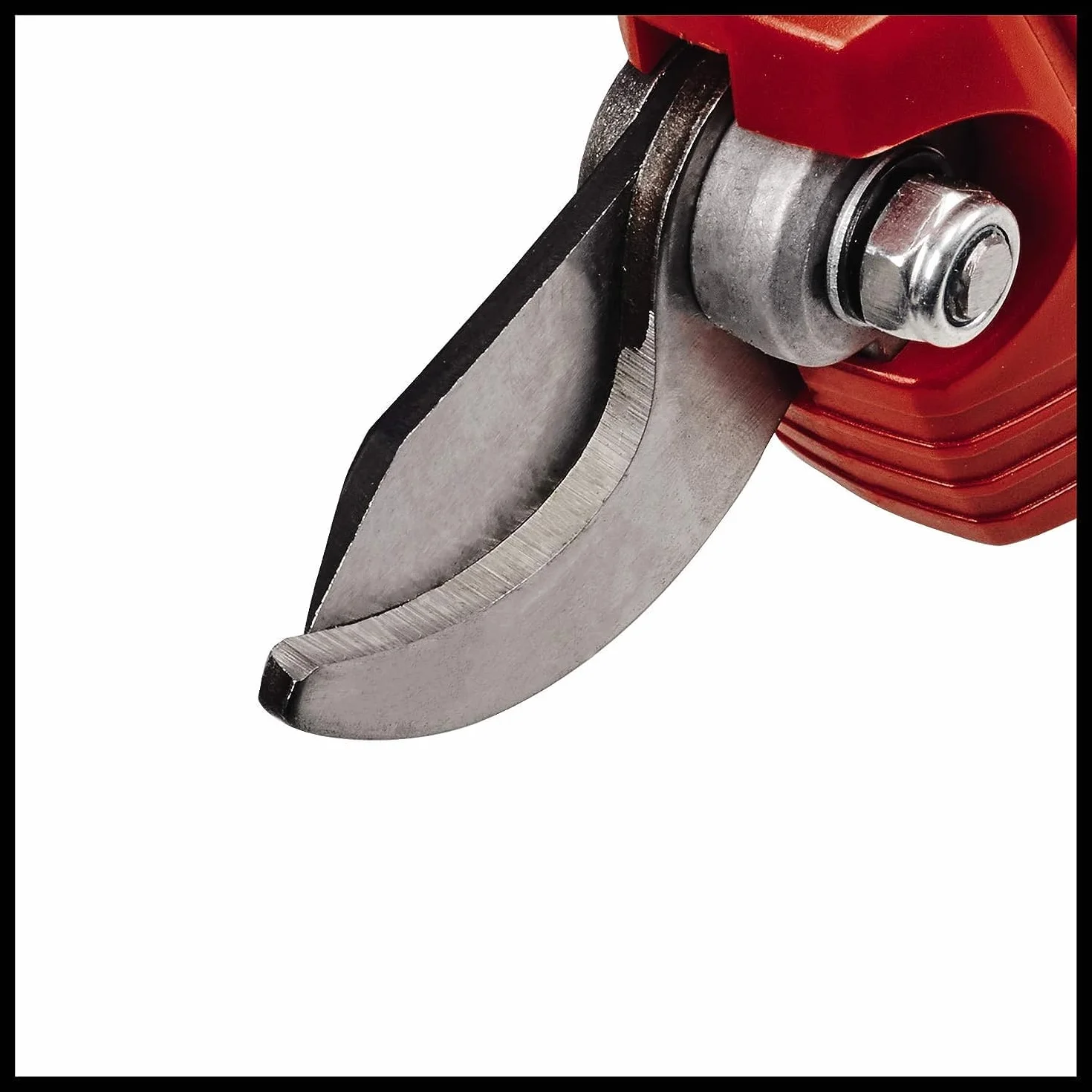 Einhell Forbici da Potatura a Batteria, Nero, Ciano, Magenta, Giallo, Rendement Standard
