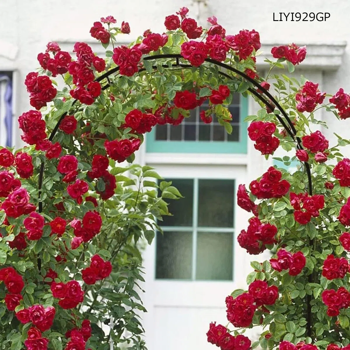 LIYI929GP ArcoDa Giardino, Supporto Piante Rampicanti, Stabile Pergole In Metallo, Decorazione Giardino, Garden Pergolas ArcoPer Rose Sostegno, 120/180/200/240/280/300cm Largo, Interni Ed Esterni