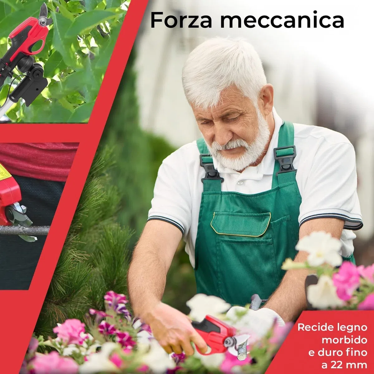 STREND PRO Forbici Potatura a Batteria Telescopiche, Cesoie per Alberi e Giardini, Max. 22 mm, Asta Telescopica 170 cm, 7.2V, Rosse