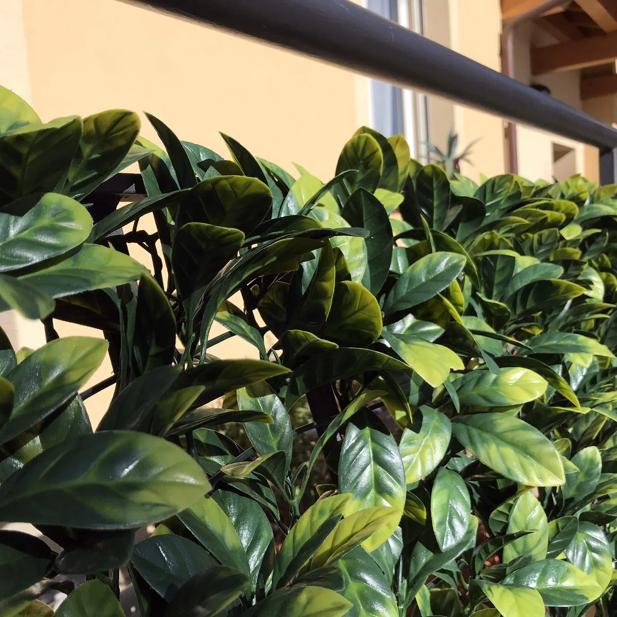 TENAX Divy 3D Plus Laurus, Siepe Sintetica 1,00x3m Foglie Tipo Lauro su Rete di Plastica