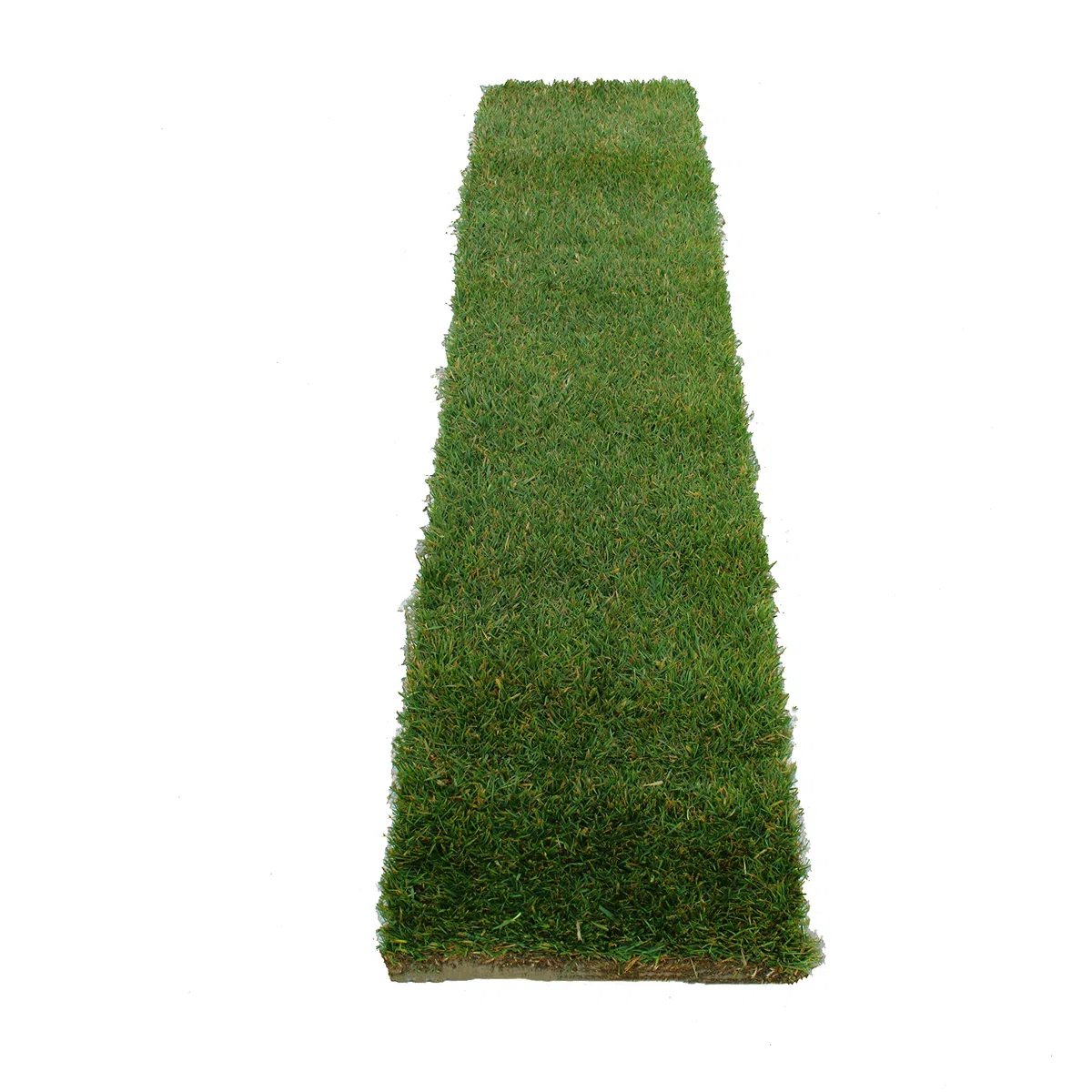 KENTIS - Prato Vero a Rotoli con Diverse Misure a Scelta - Vera Erba Naturale per Giardino ed Esterni - 15 Metri Quadrati