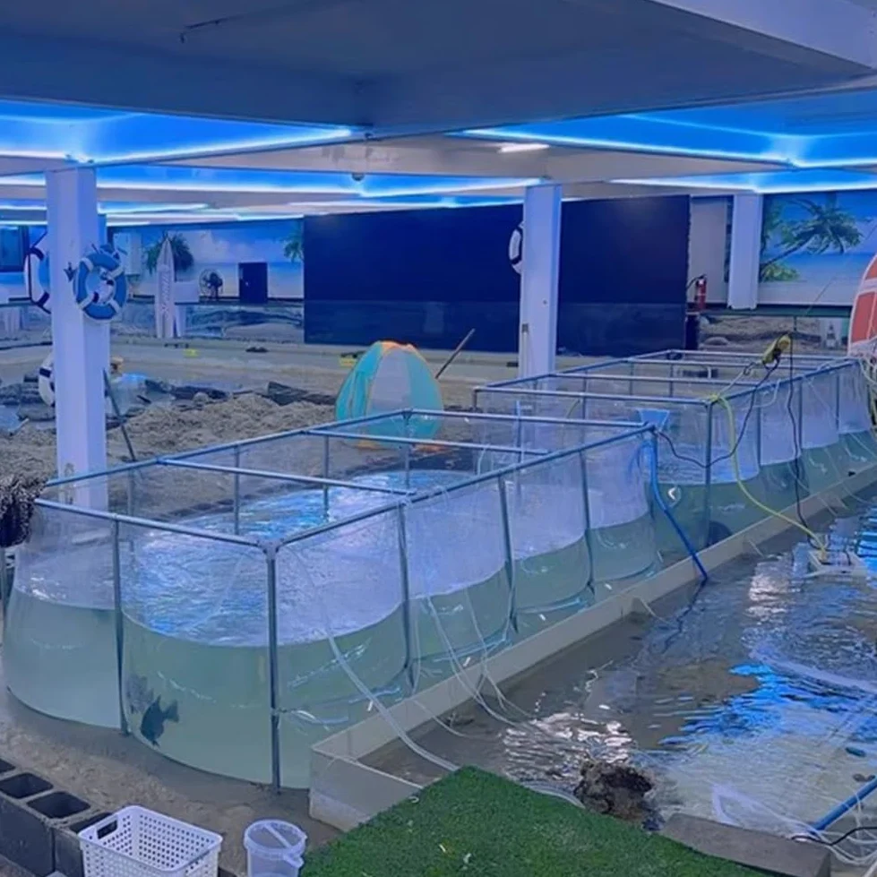 Laghetto per acquario, piscina, laghetto trasparente pieghevole, acquario in PVC per koi, laghetti per pesci da esterno, acquario, laghetto per koi, laghetto fuori terra, laghetto per tartarughe(Chiar