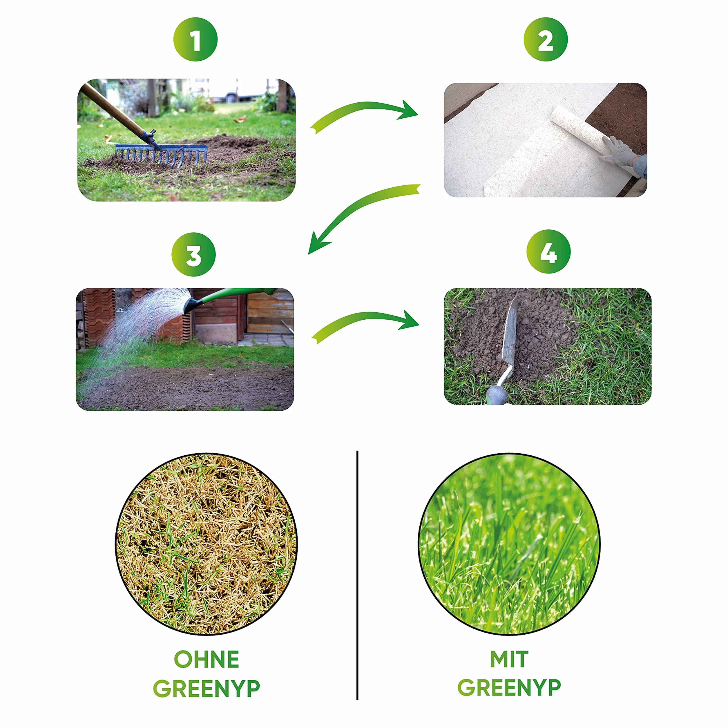 Greenyp all-in-One Tappeto erboso per Semi d’Erba, stuoia biodegradabile, a Rotoli, Semi di Erba integrati con fertilizzanti per Prato, 0,5m x 20m (10m²)