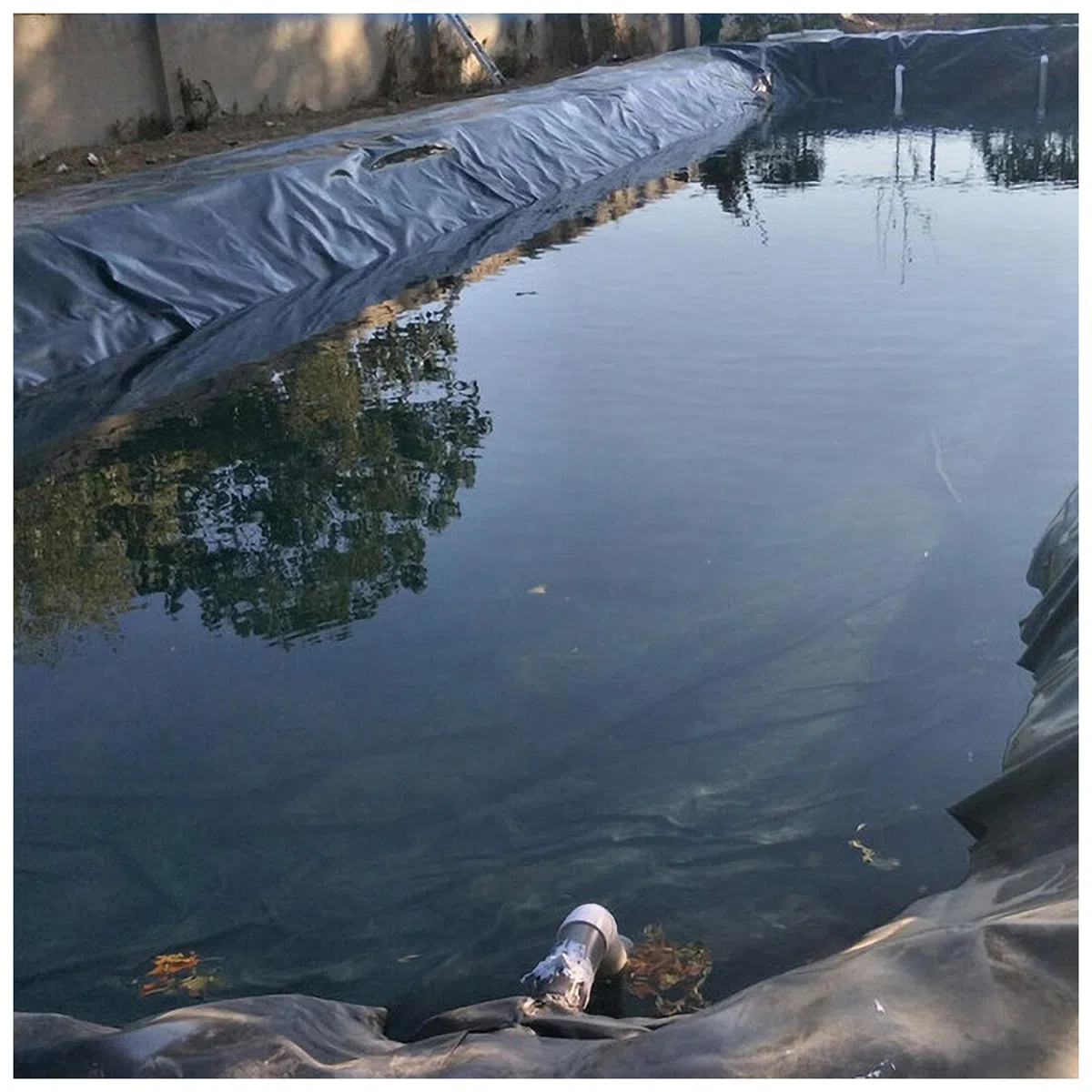 Telo Per Laghetto 20S Film Di Sigillatura Laghetti Giardino HDPE Nero Per Uso Rivestimento Per Laghetti Nuoto Film Laghetti Pesci Fontane Giardini D'acqua Cascate(Size:7*7m(22.9*22.9ft) 20S)