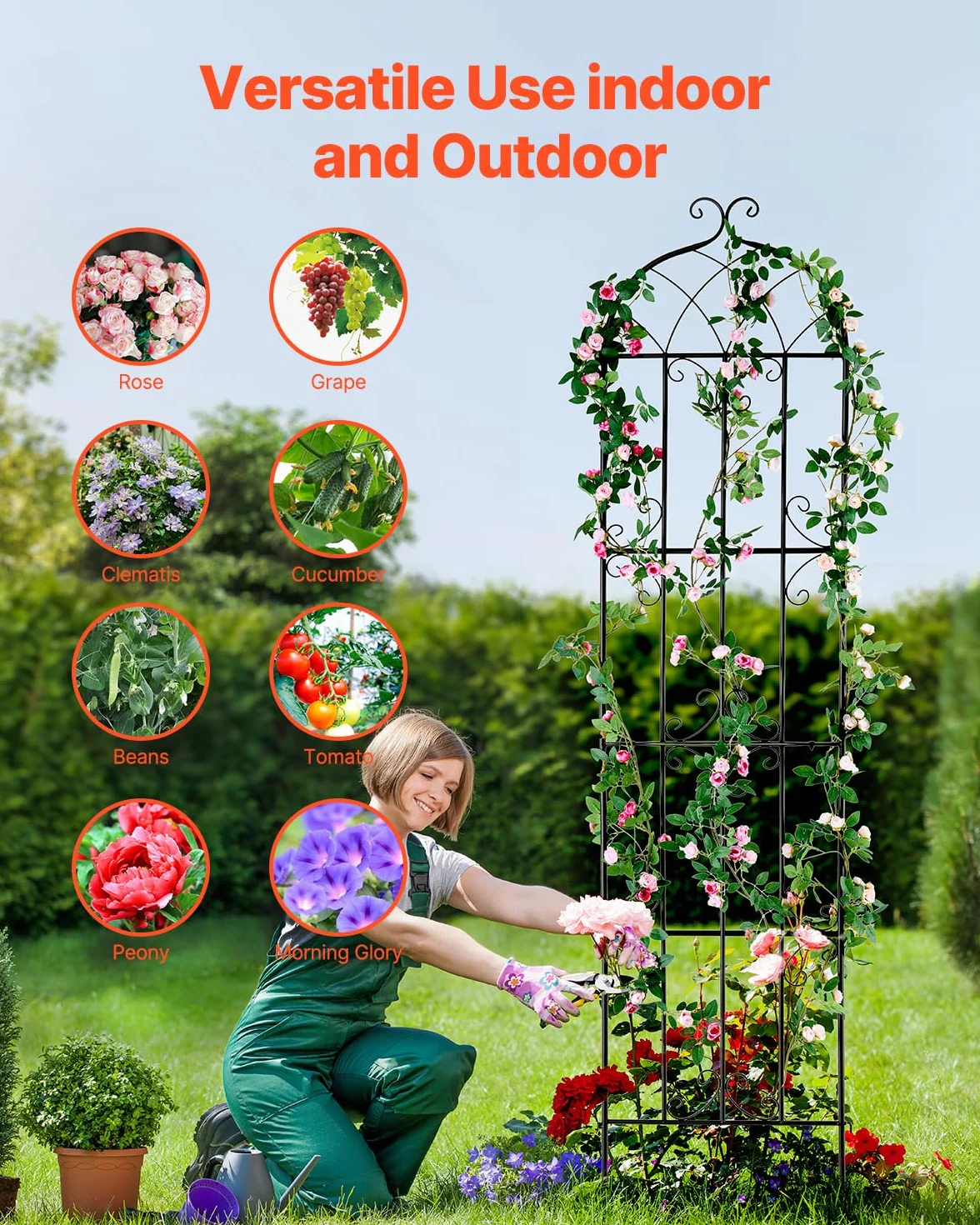 VEVOR Traliccio da Giardino Rampicanti per Piante Fiori in Metallo Antiruggine, Supporto per Traliccio per Rose Rampicanti Esterno, Traliccio Decorativo per Clematide Alta Cortili 51 x 220 cm 4 Pezzi