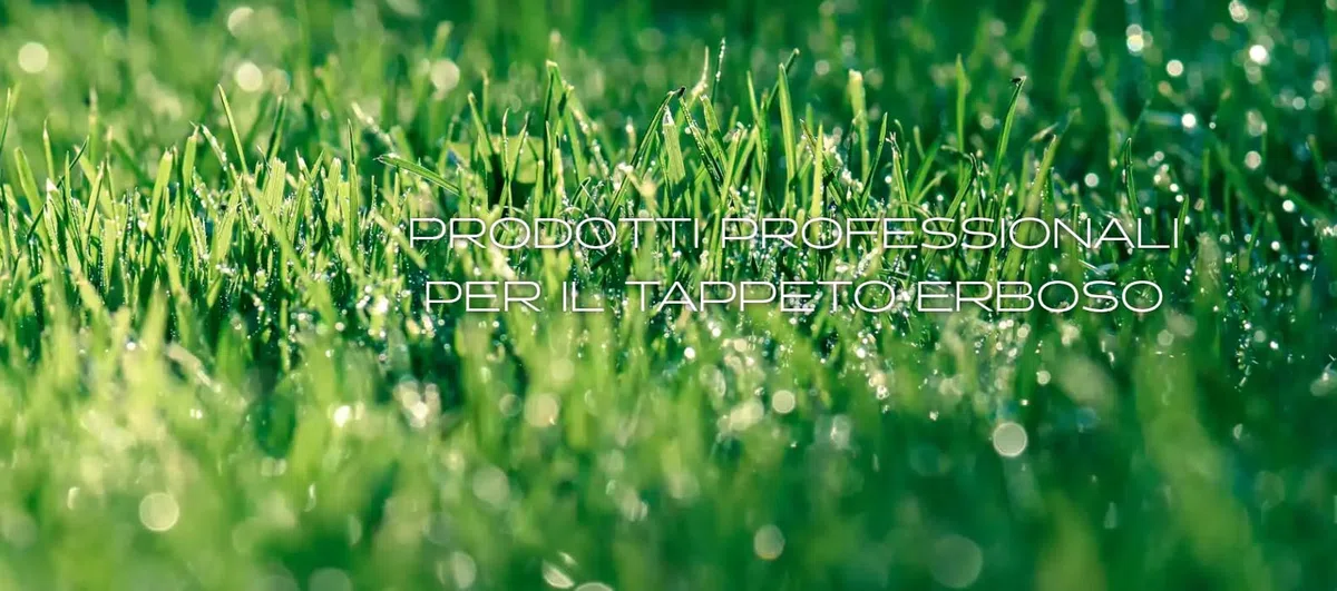 Emerald RACE Turf Innovation,CONCIME DI SPINTA VEGETATIVA Fertilizzante Granulare Primaverile e Autunnale,10kg (400mq)