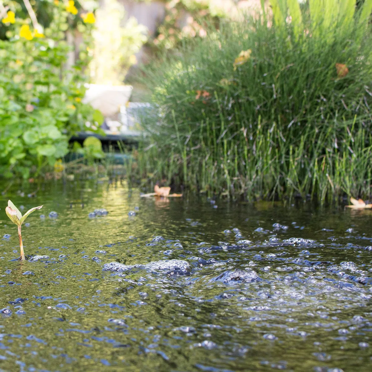 Blagdon Kit ossigenatore per l'acqua del laghetto, pompa d'aria di aerazione a 1 uscita per piccoli laghetti fino a 1000 litri, verde