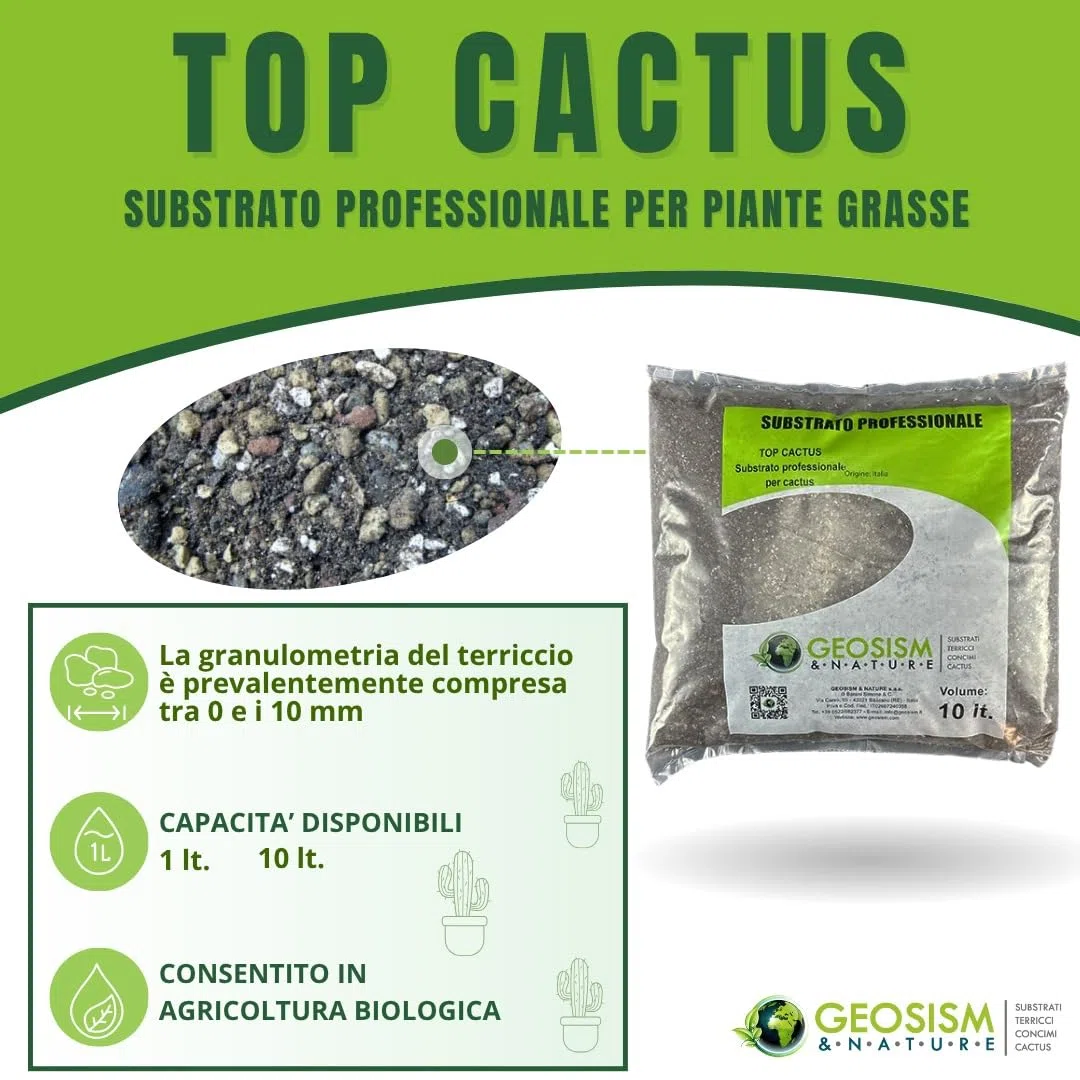 GEOSISM & NATURE - Terriccio per piante grasse, terriccio cactus, substrato professionale per cactacee e succulente, ideale per un terreno dreanto, areato, leggero e ricco di nutrienti (10 lt)
