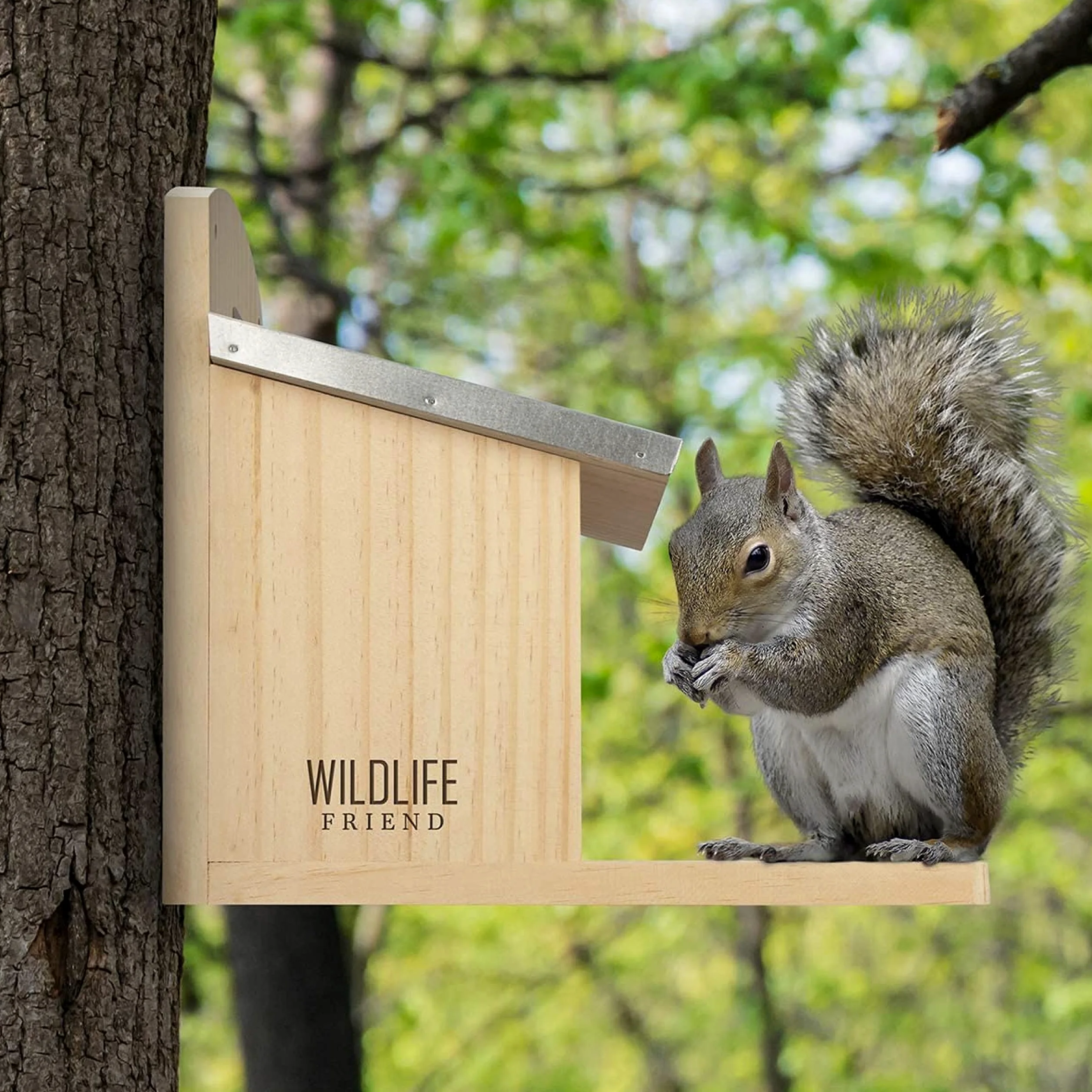 WILDLIFE FRIEND | Mangiatoia Scoiattoli XXL – Da Riempire con Mangime Scoiattolo – Resistente alle Intemperie – Realizzata in Legno Massello, Tetto in Metallo e Finestrina in Plastica – 26x14x29cm