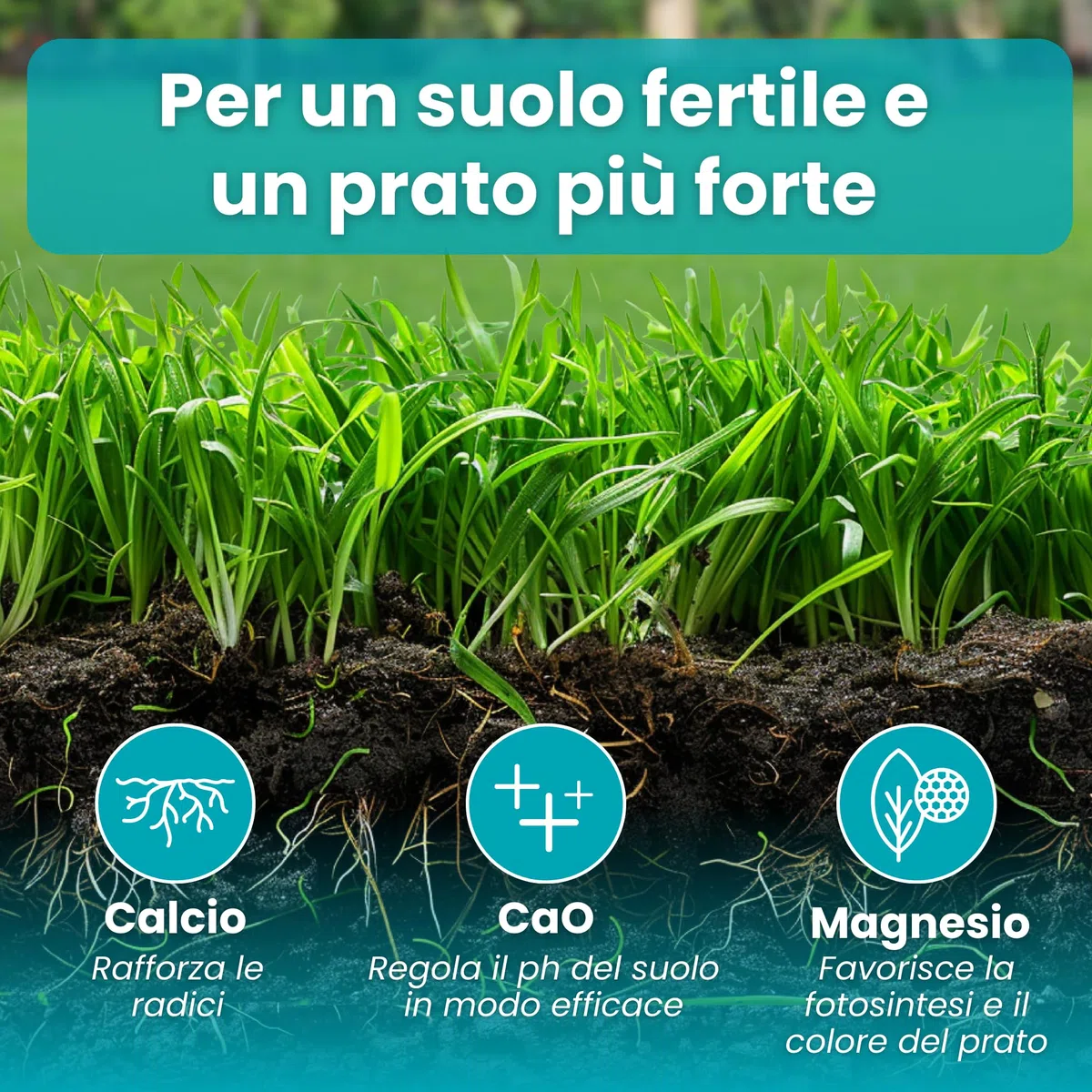 LERAVA Revive (18 kg) - Calce per prato per equilibrio pH ottimale - ammendante per migliorare struttura e fertilità del suolo - apporto naturale di calcio per un prato sano e resistente