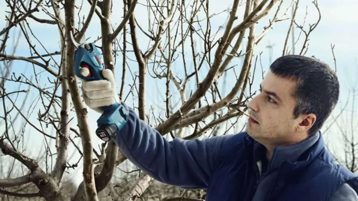 BOSCH akumuliatorinis sekatorius 12V PRO PRUNER 25mm 2x3
