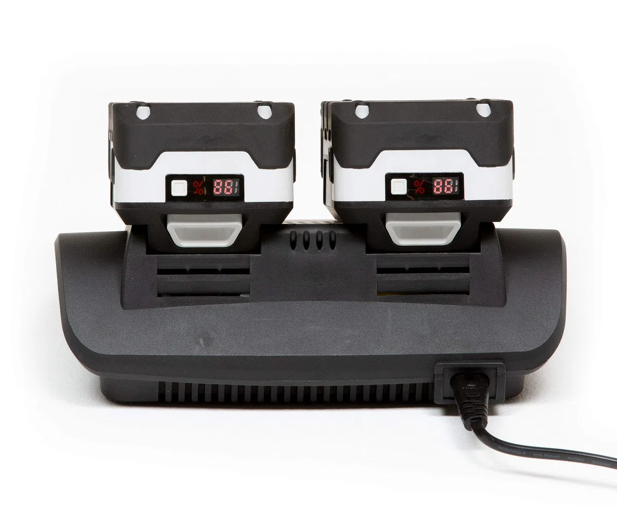 Briggs&Stratton Caricabatteria Doppio per Batterie 18V agli Ioni di Litio utlizzate sui prodotti Murray 18V, 1697084