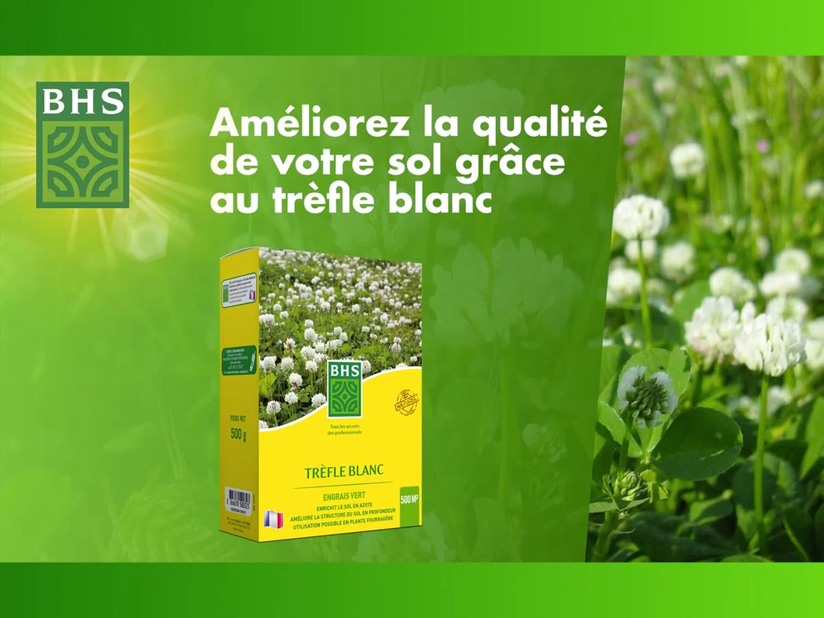 BHS Trefle Blanc - Favorisce la biodiversità, si adatta a tutti i tipi di terreno, 500 g, 500 m², resistente al calpestio TRE500