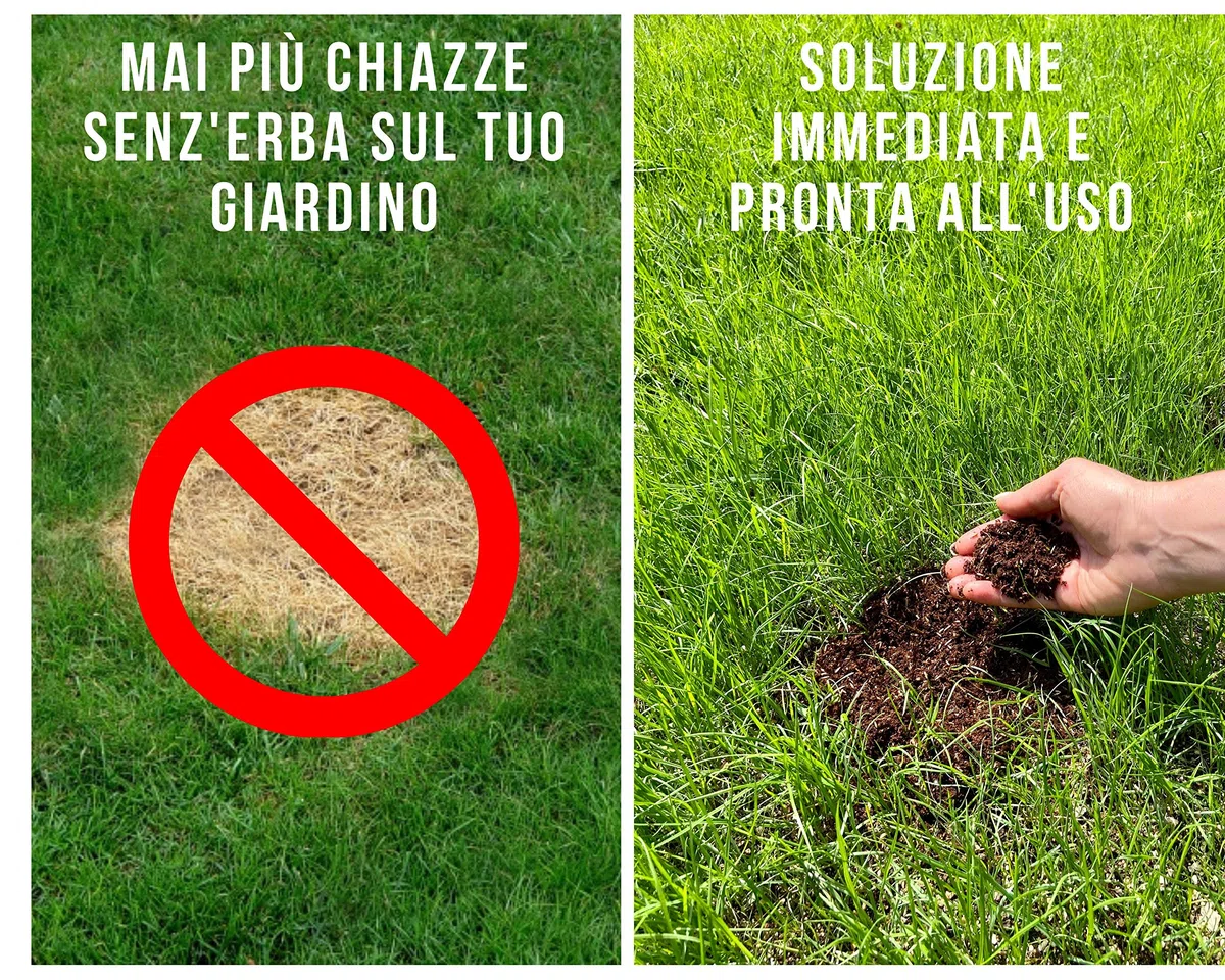 Riparatore Prato 3in1 - Sermenti Prato per Risemina con Concime e Terriccio per Rapida Ricrescita