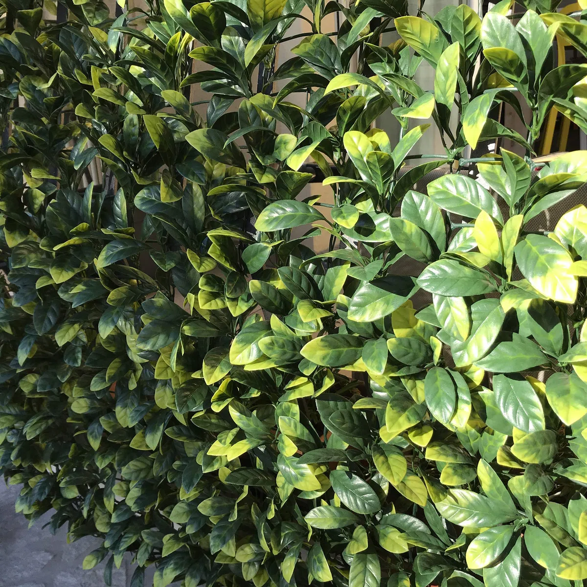 TENAX Divy 3D Plus Laurus, Siepe Sintetica 1,00x3m Foglie Tipo Lauro su Rete di Plastica