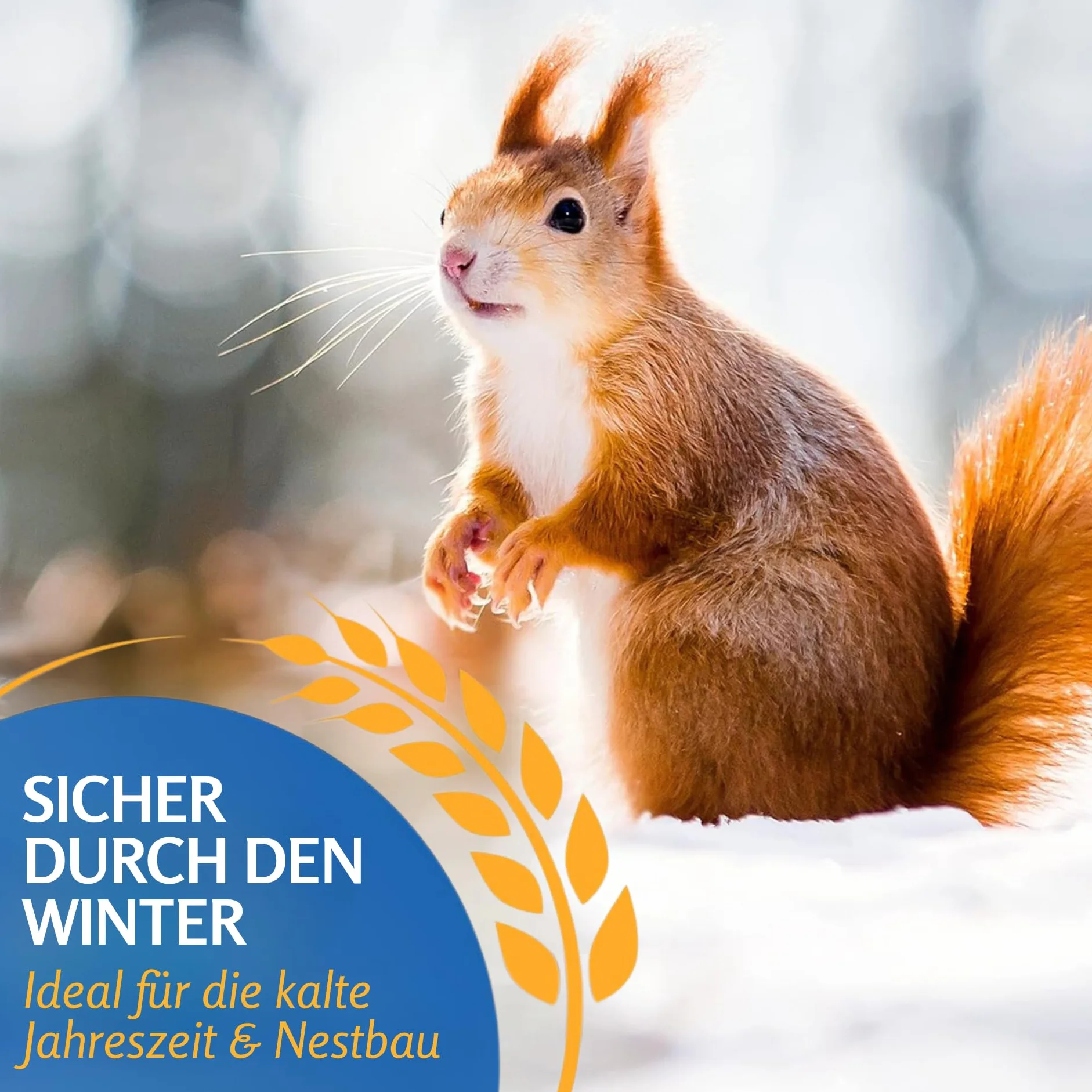 Leimüller Mangime Premium scoiattoli 5kg - Noci, Cereali & camole - Nutriente & naturale per scoiattoli e tamie - Qualità Austriaca dal 1609