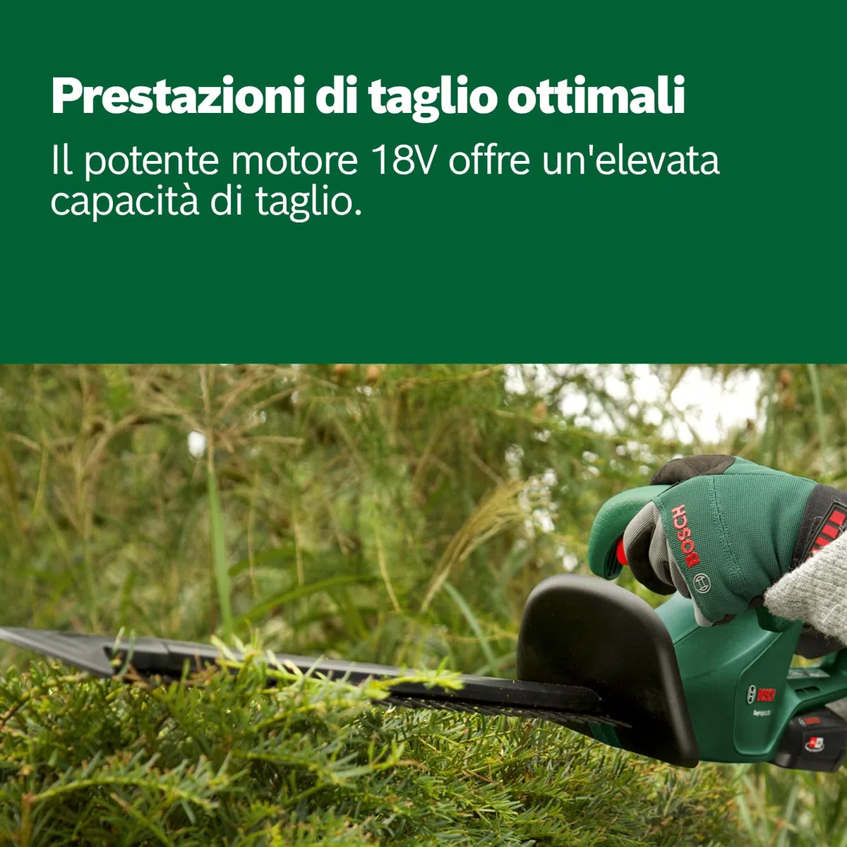 Bosch Home and Garden Tagliasiepi a Batteria EasyHedgeCut 18-45, 1 Batteria da 2.0 Ah, Sistema da 18 Volt, Lama da 45 cm, Confezione in Cartone