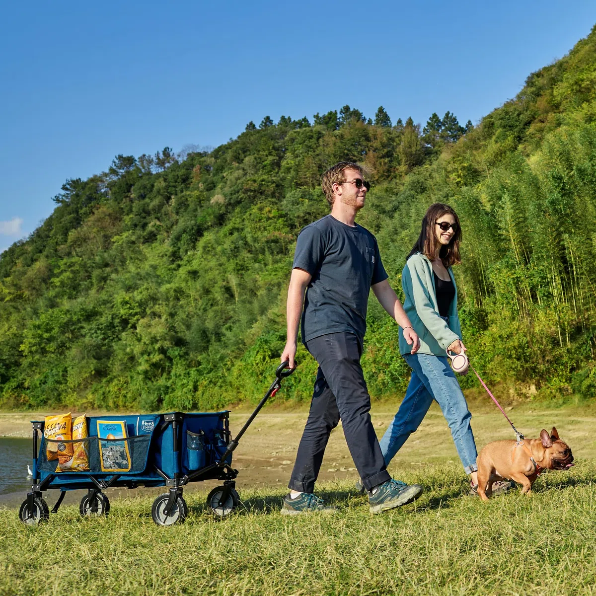 TIMBER RIDGE Carrello da Spiaggia Pieghevole Carrello da Campeggio Trasporto Pieghevoli per Rimorchio da Giardino da spaggia dall'aperto di Ogni Tipo Terreno