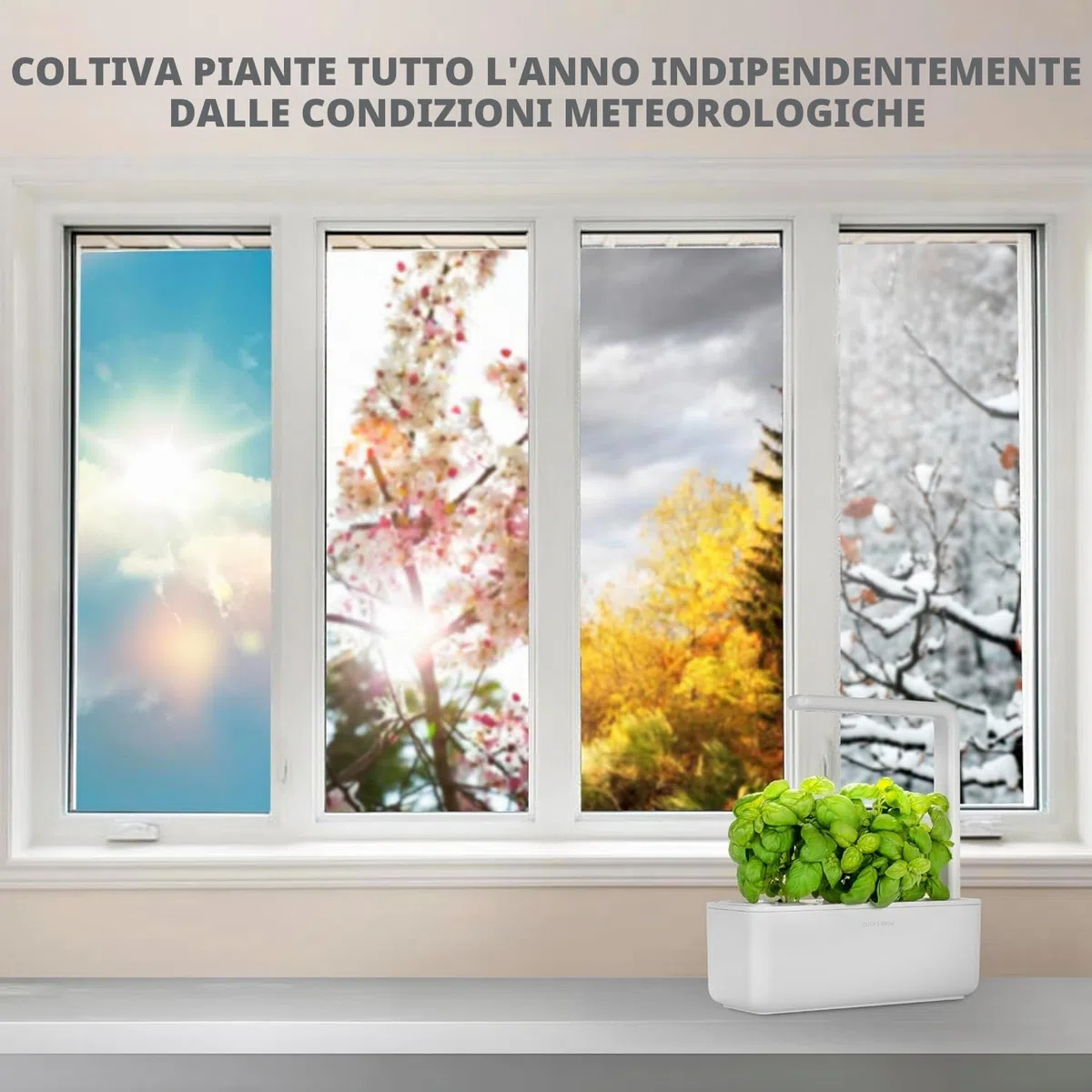 Click & Grow Smart Garden Orto in Casa, Kit Completo con 3 Capsule di Basilico, Illuminazione e Irrigazione Automatica, Idroponica Semplificata
