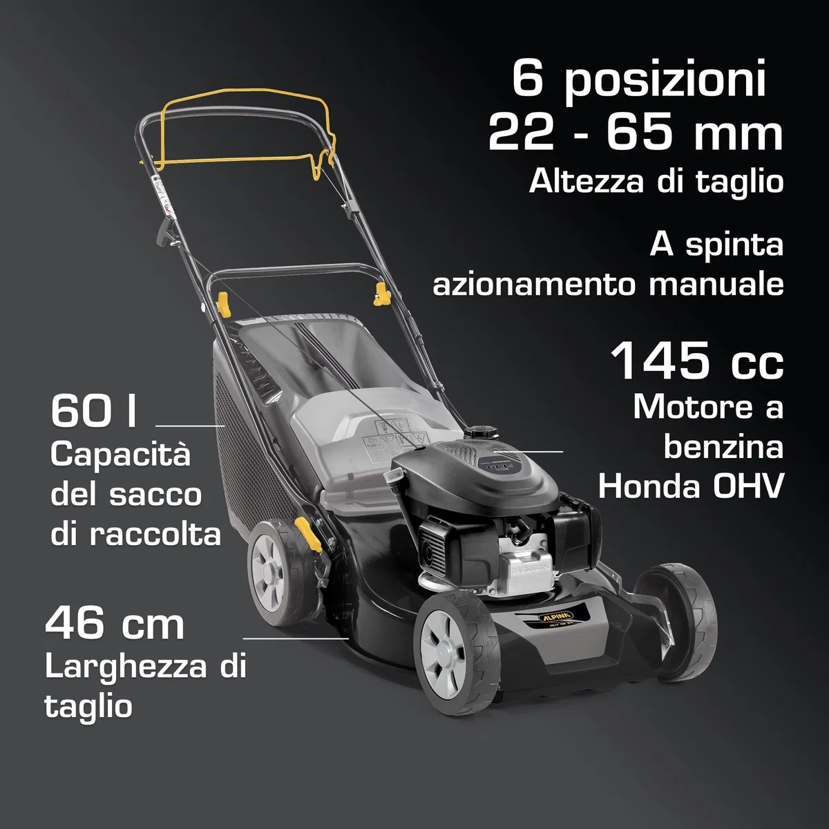 Alpina AL4 46 SH Tagliaerba Semovente, 145 cc, 46 cm – Sacco 60 l, Regolazione Centralizzata 6 Pos. – Prati fino a 1.200 m²